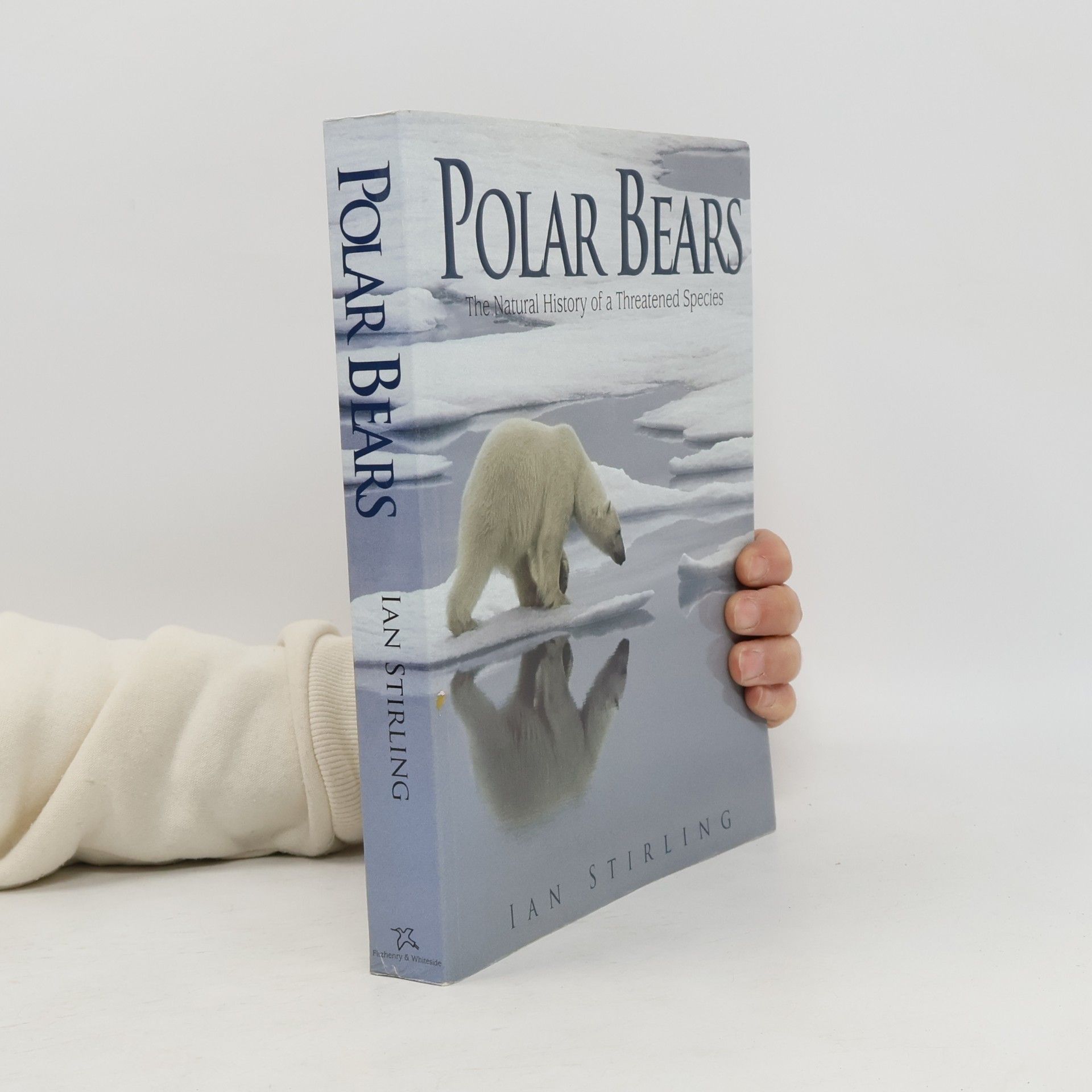 Ian Stirling Polar Bears