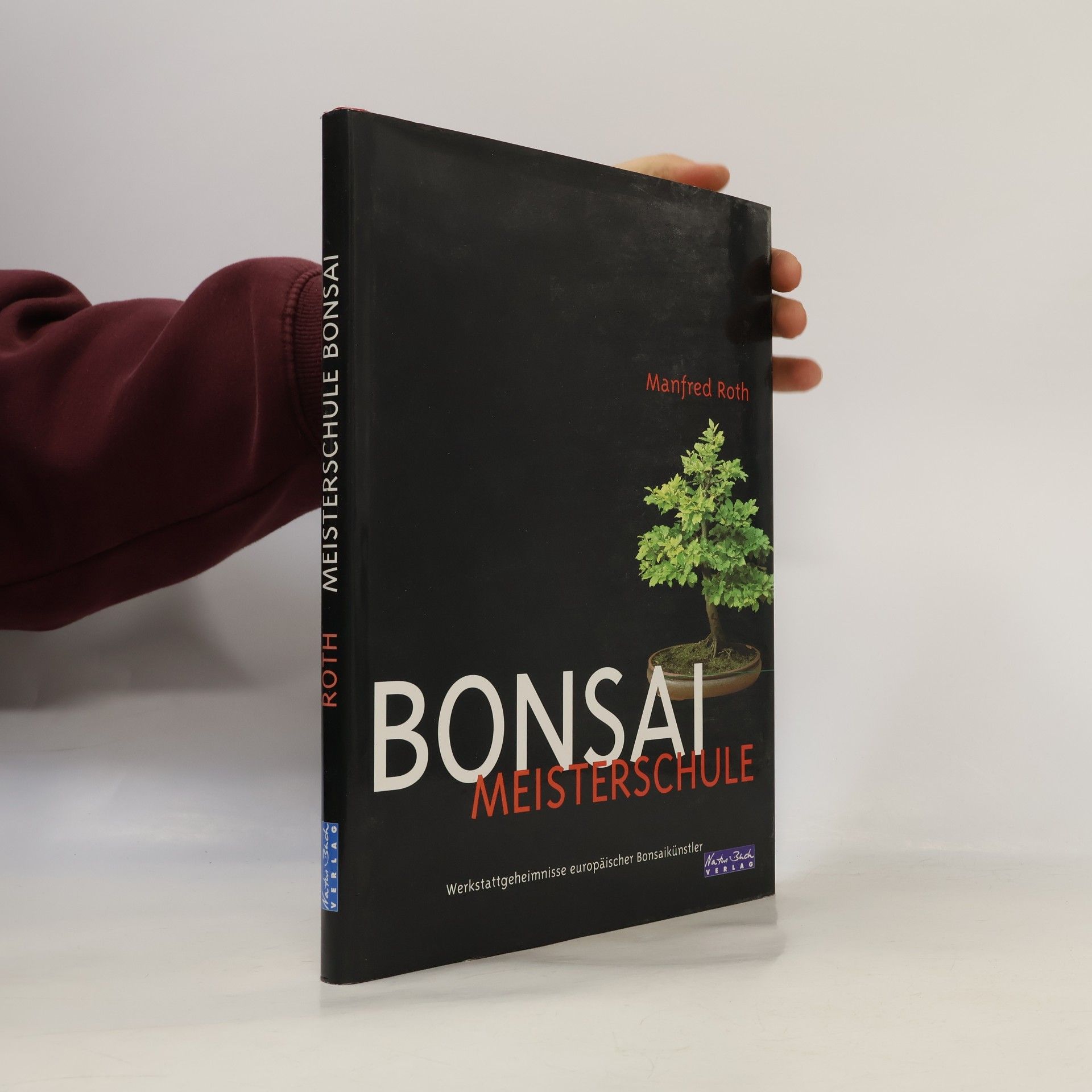 Manfred Roth Meisterschule Bonsai