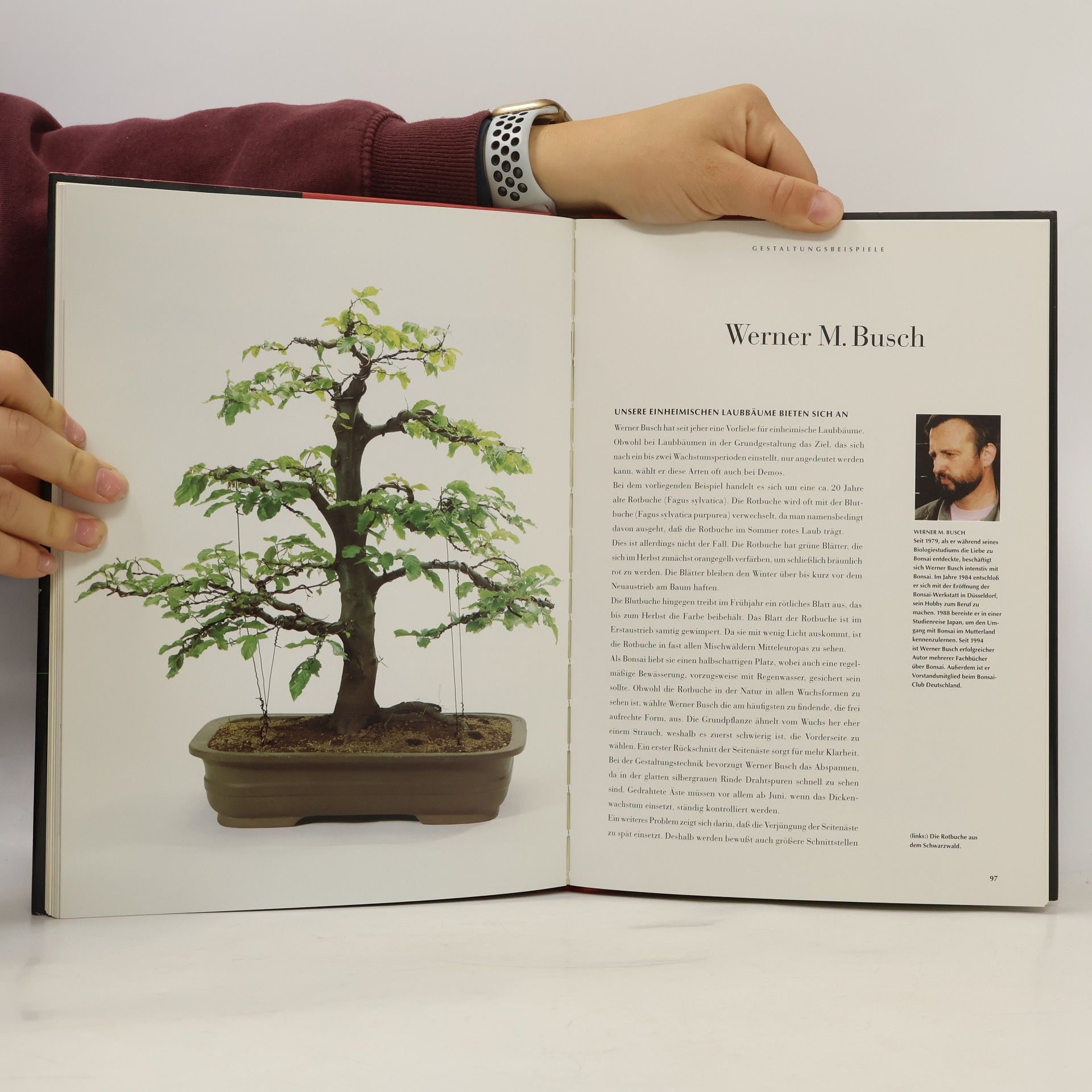 Manfred Roth Meisterschule Bonsai