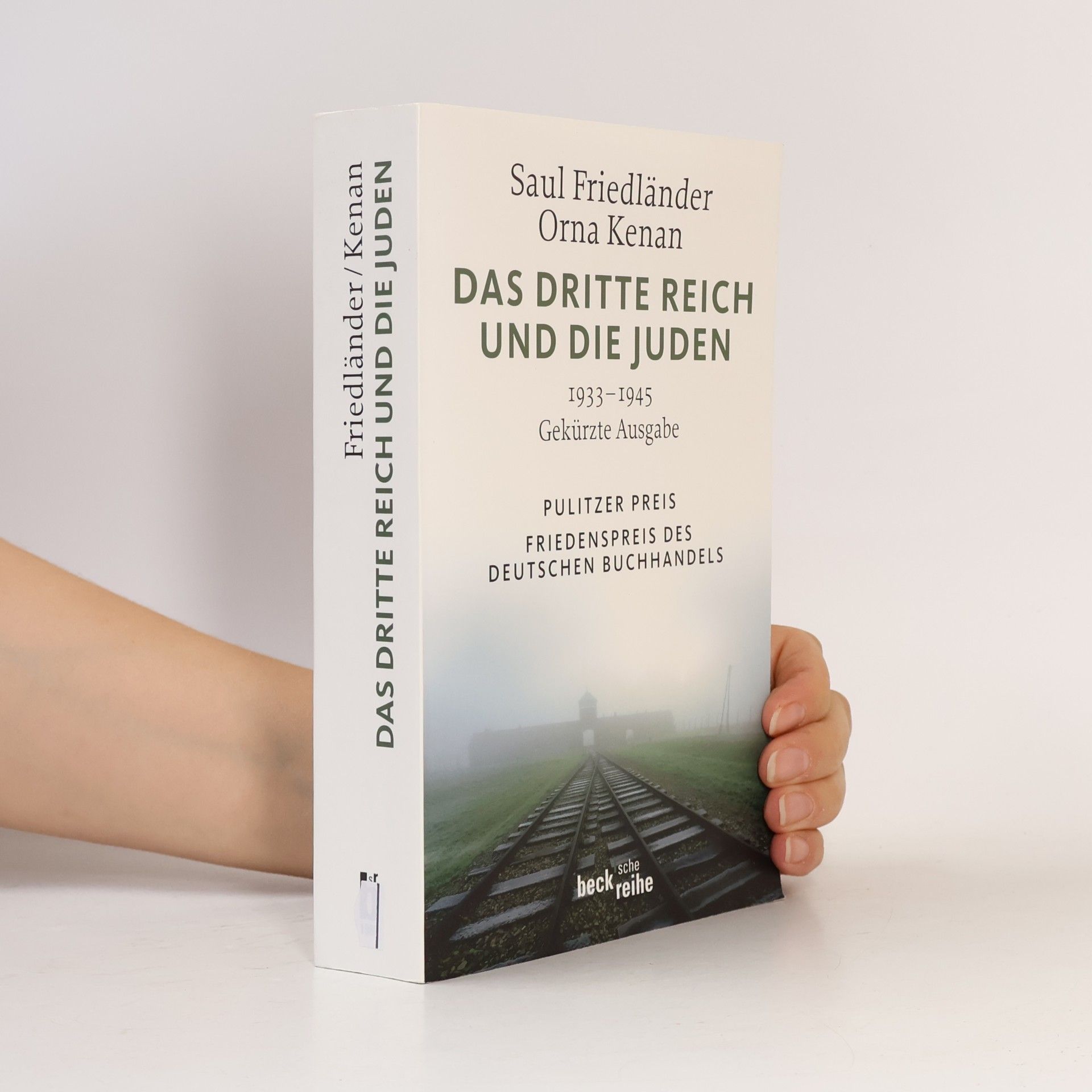 Saul Friedländer Das Dritte Reich und die Juden