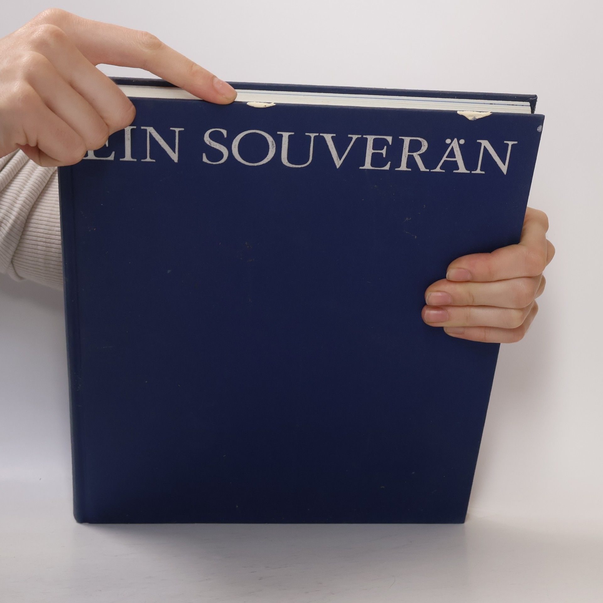 kolektiv Ein Souverän