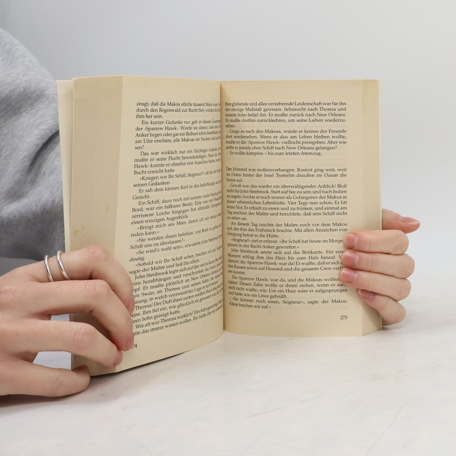 H. G. Roberts Allgemeine Reihe: Der wilde Stenbrook