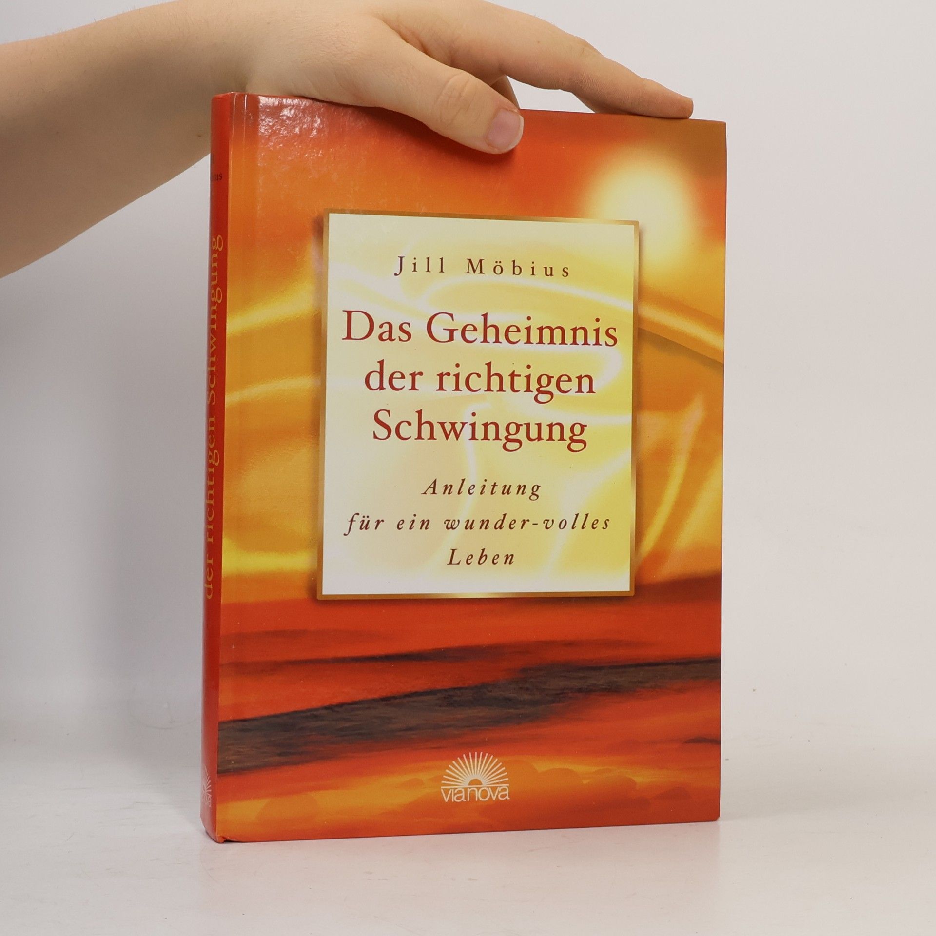 Jill A. Moebius Das Geheimnis der richtigen Schwingung