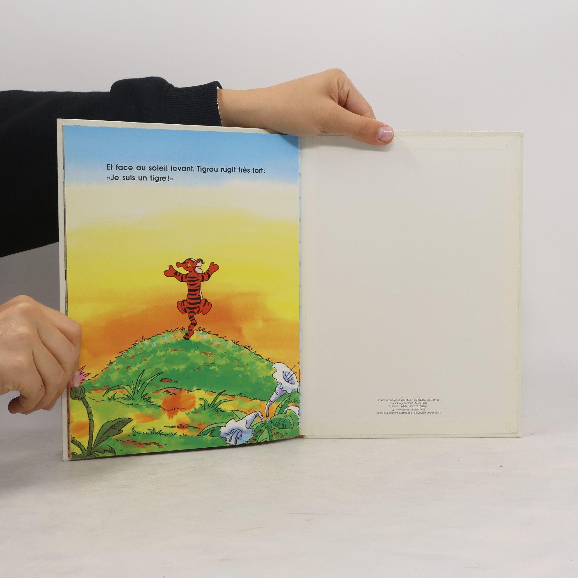 Walt Disney: Winnie et les rayures de Tigrou
