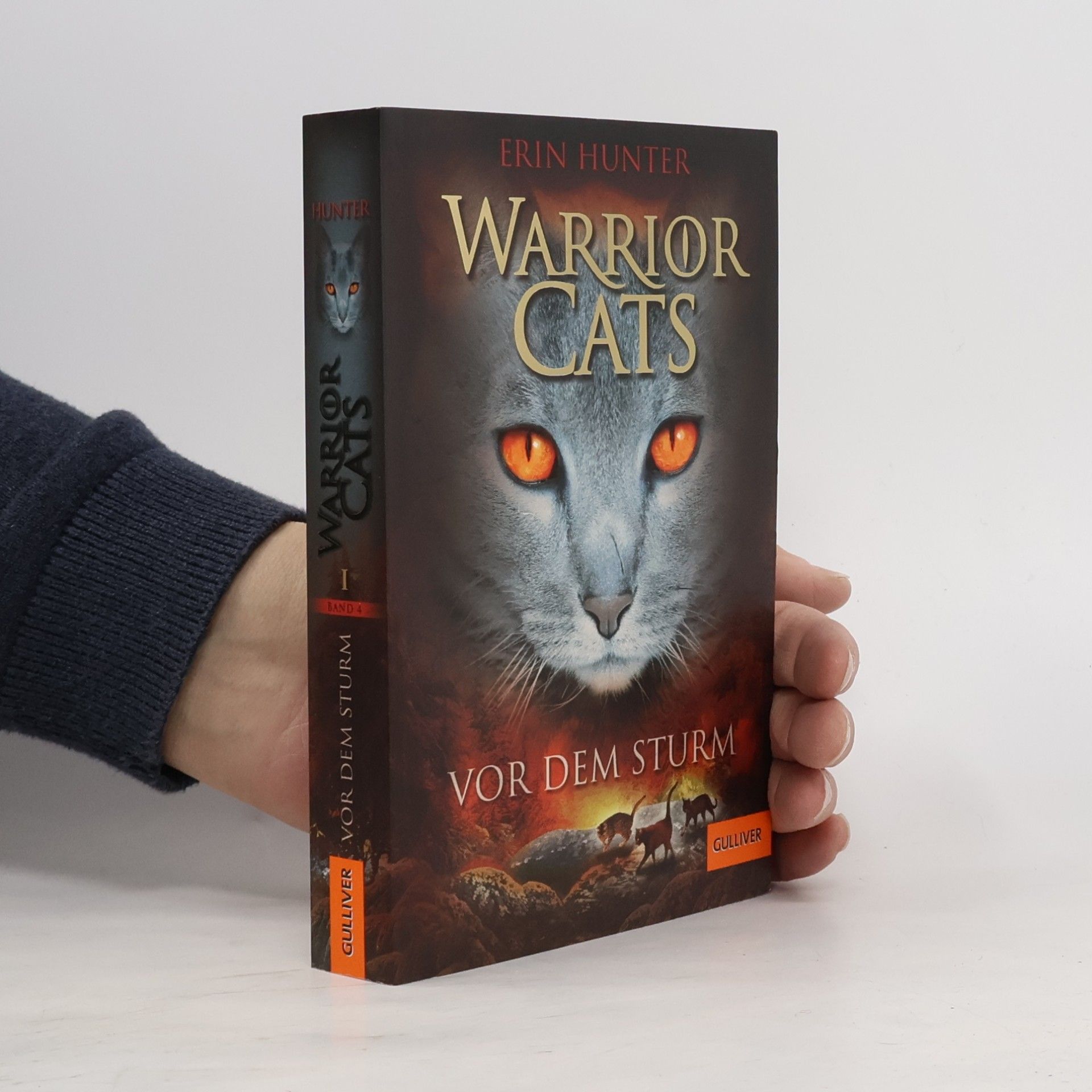 Warrior Cats. Vor dem Sturm