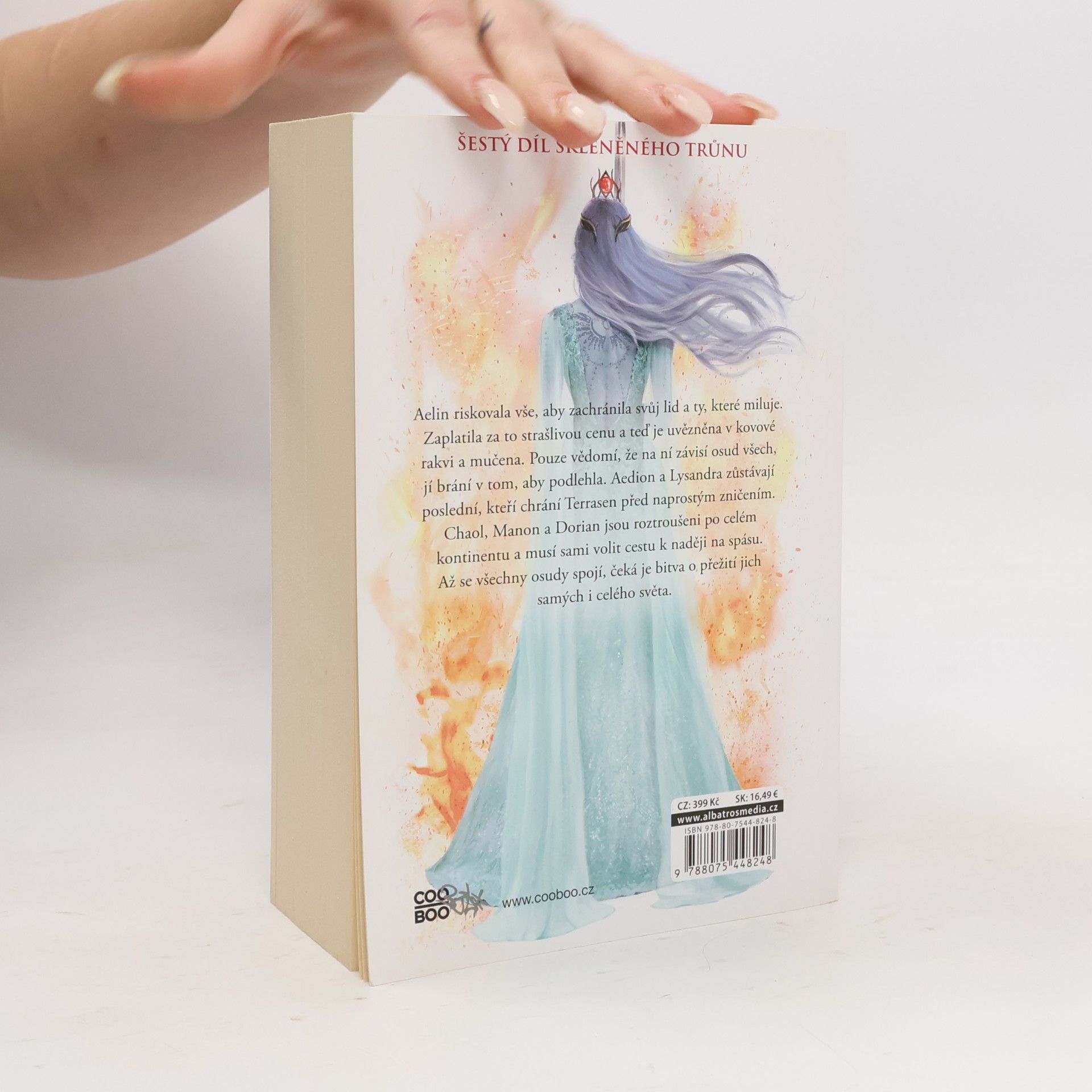 Sarah J. Maas Království popela