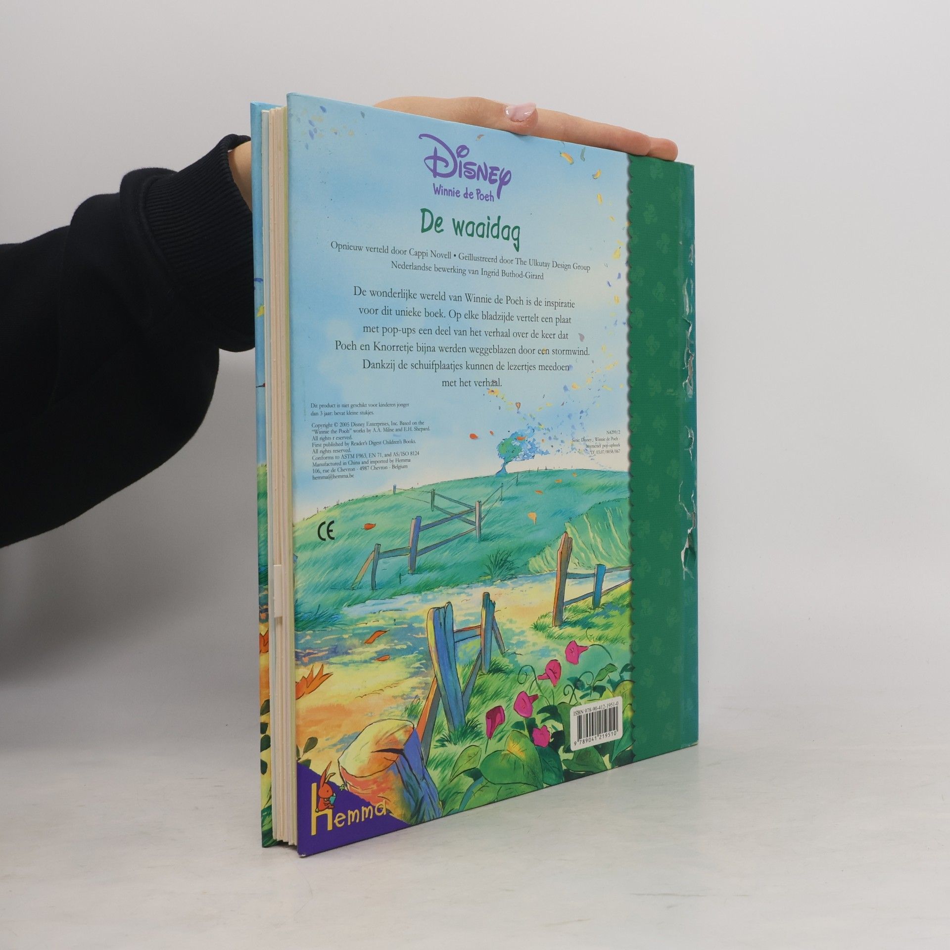 Winnie de Pooh: De waaidag