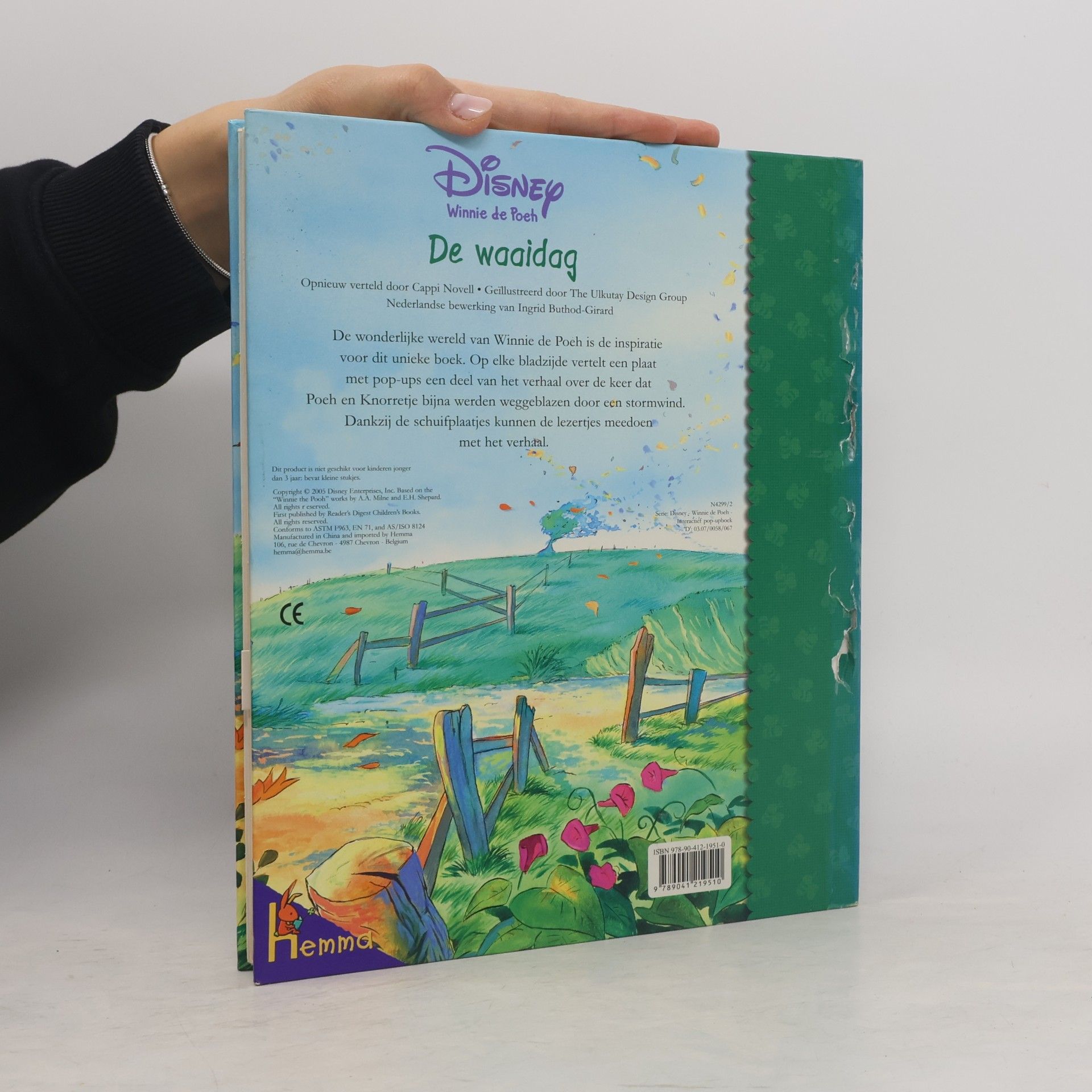 Winnie de Pooh: De waaidag