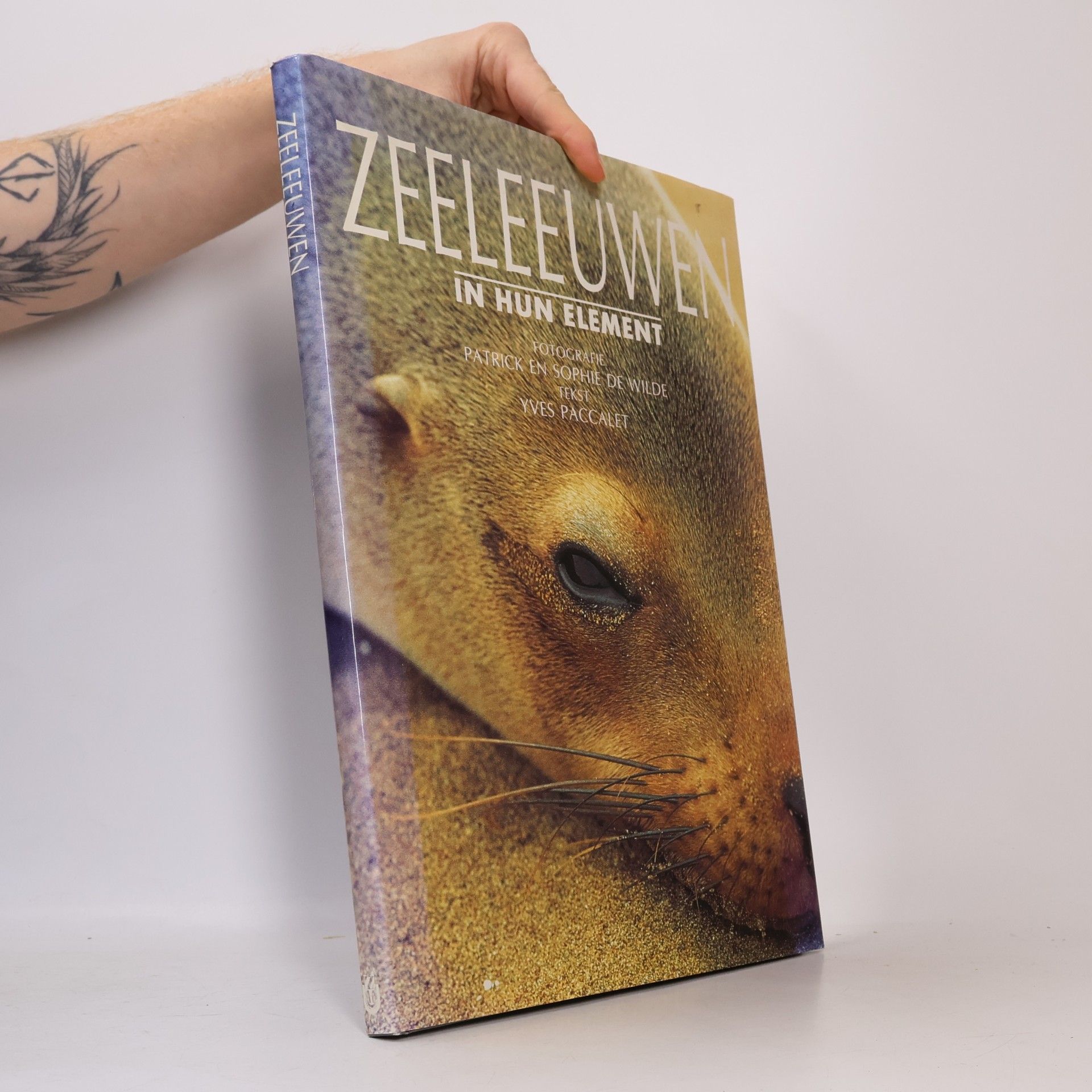 Zeeleeuwen in hun element