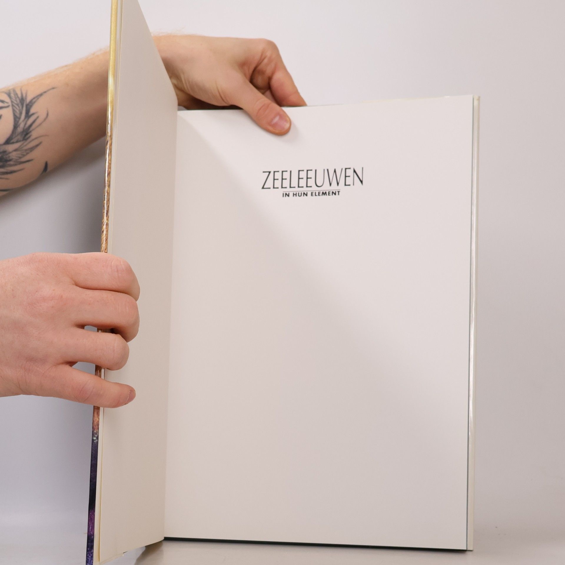 Yves Paccalet Zeeleeuwen in hun element