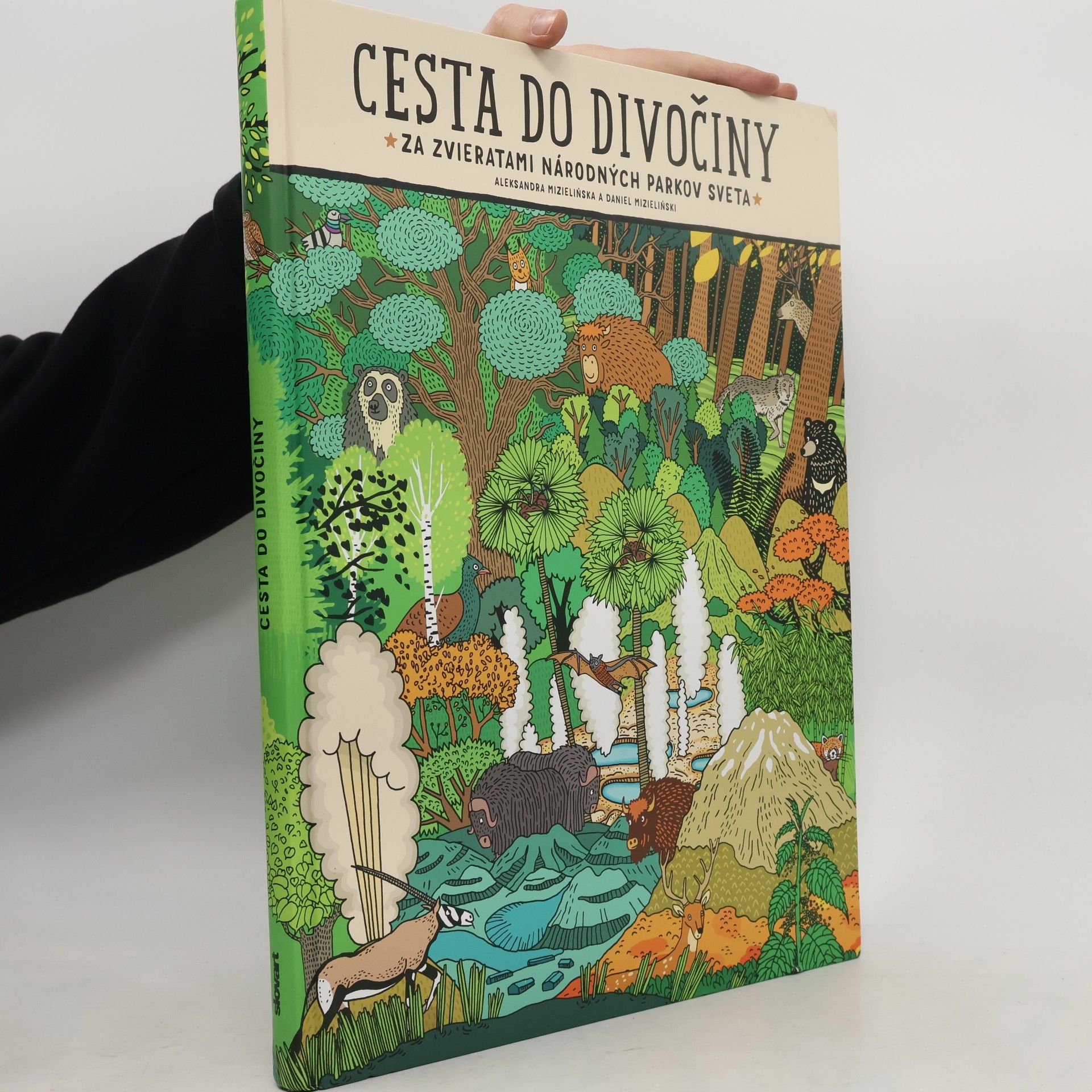 Aleksandra Mizielinska Cesta do divočiny