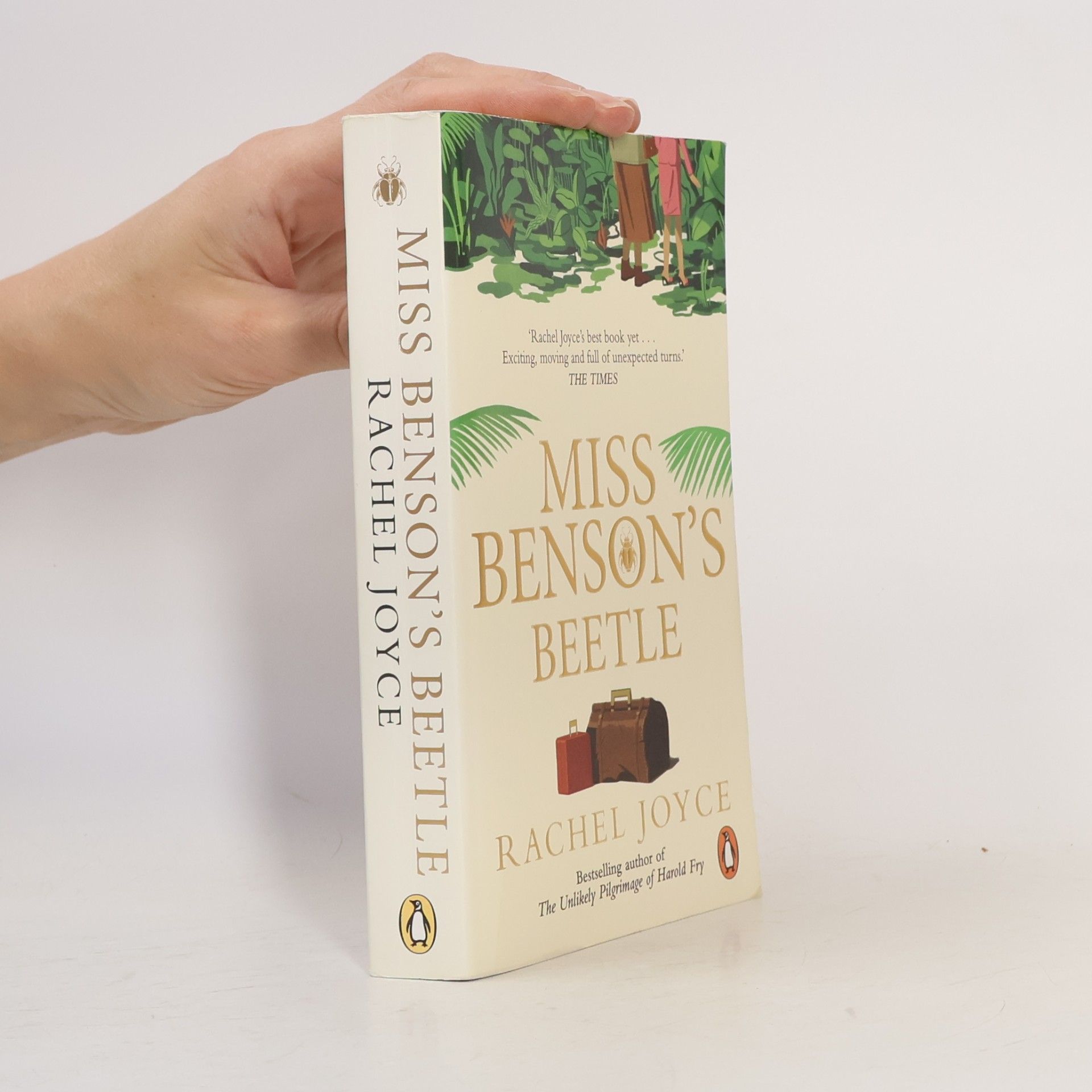 Rachel Joyce Miss Benson´s Beetle