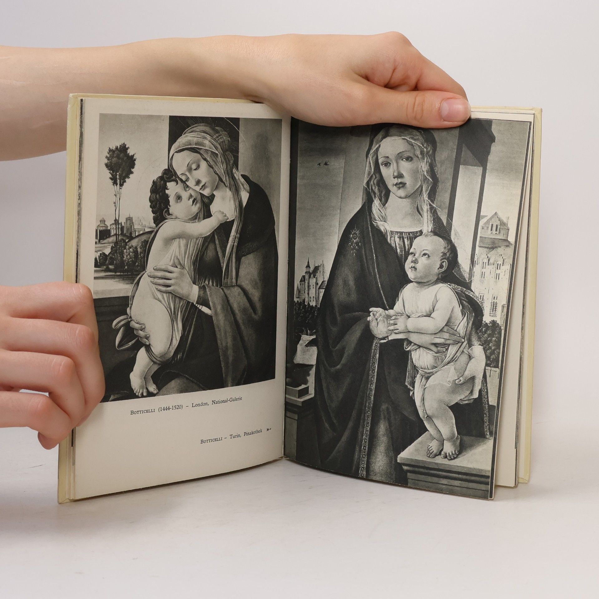 Marcel Belvianes Die Madonna in der Malerei
