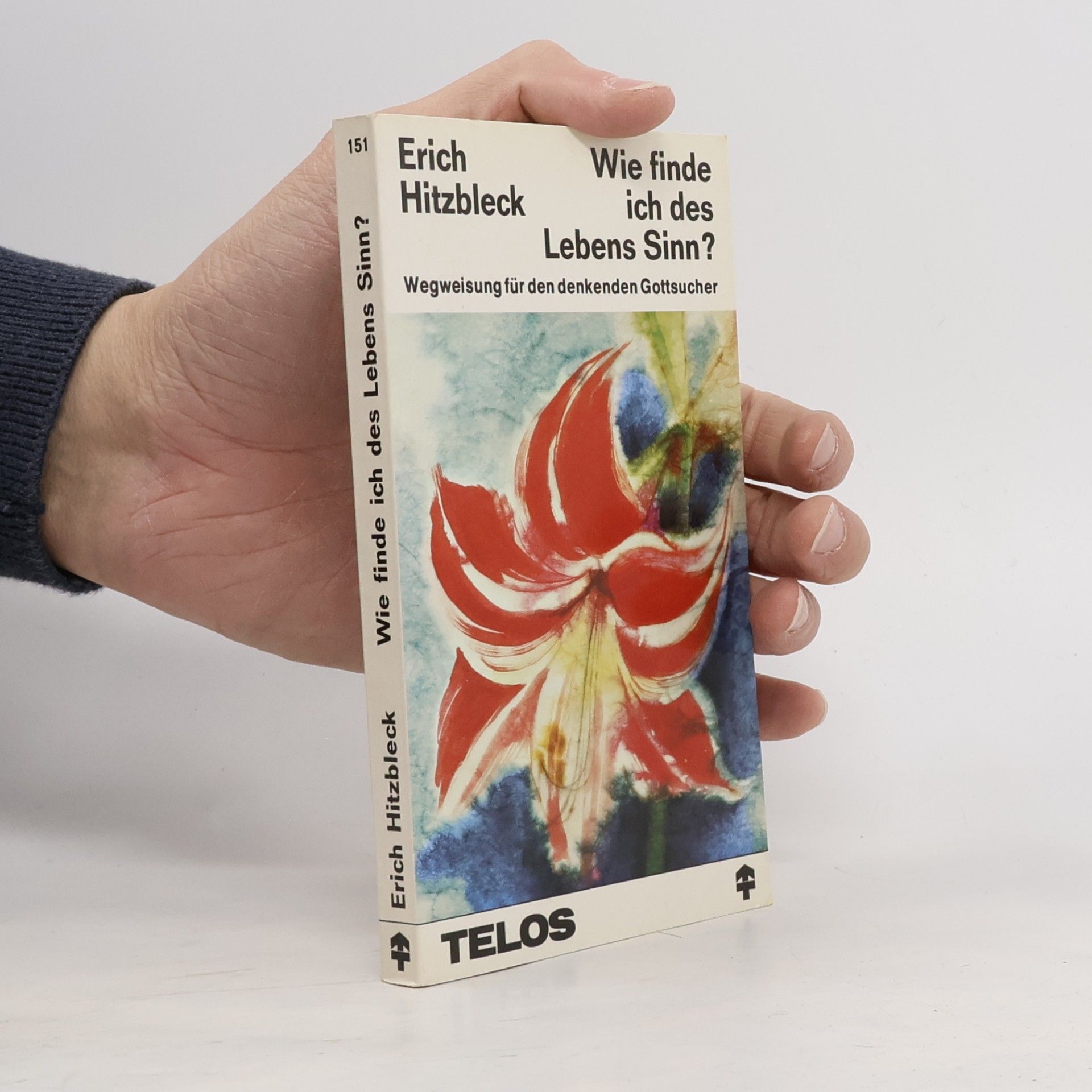 Erich Hitzbleck Wie finde ich des Lebens Sinn?