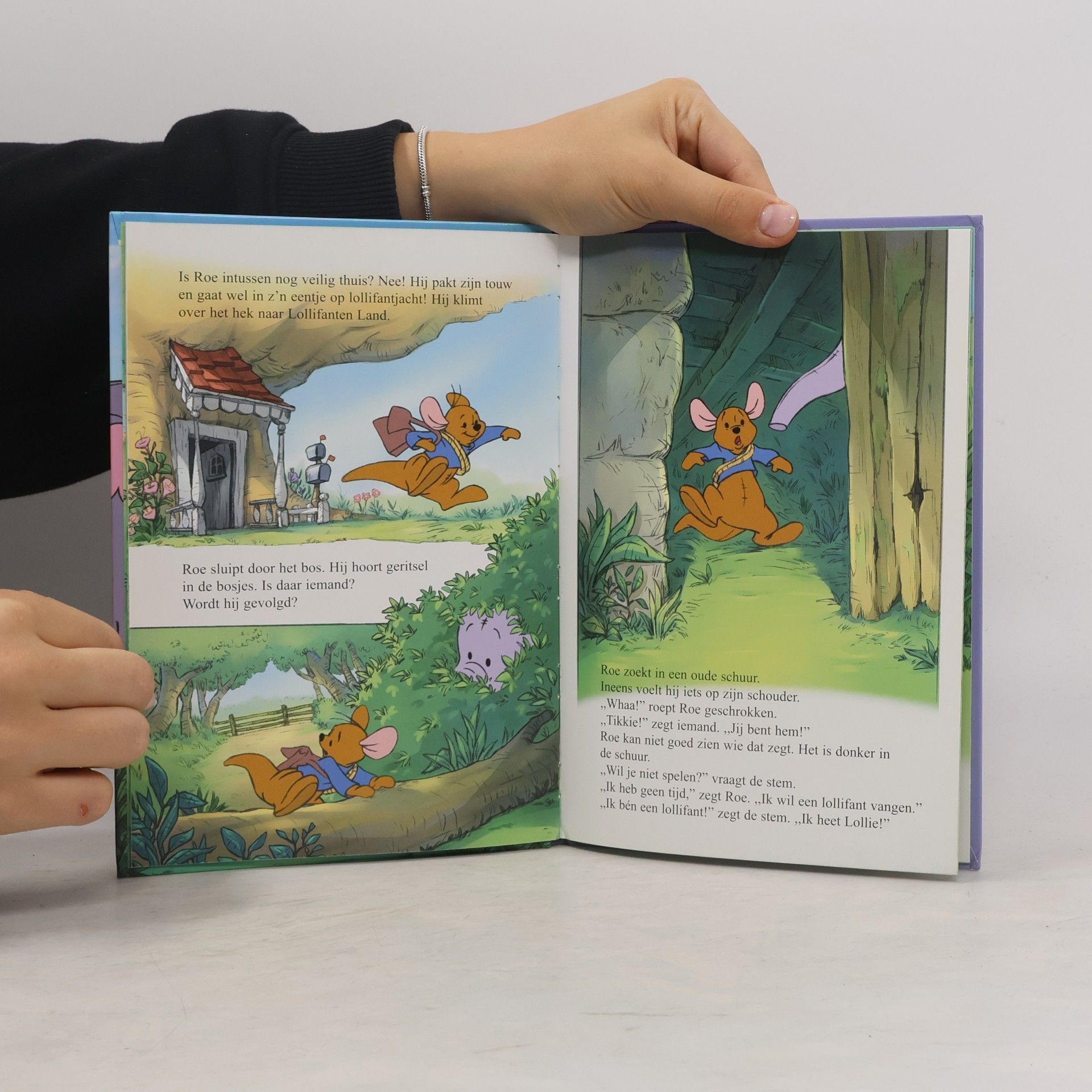 Walt Disney Winnie de Poeh in Lollifanten Land