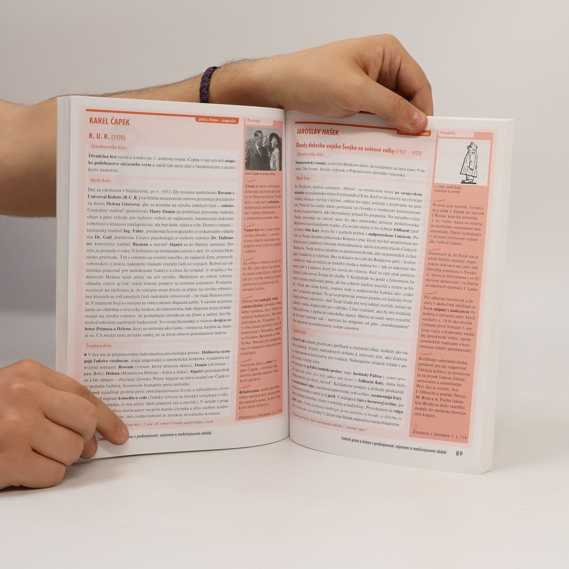 Autorenkollektiv Zmaturuj z literatúry 2.