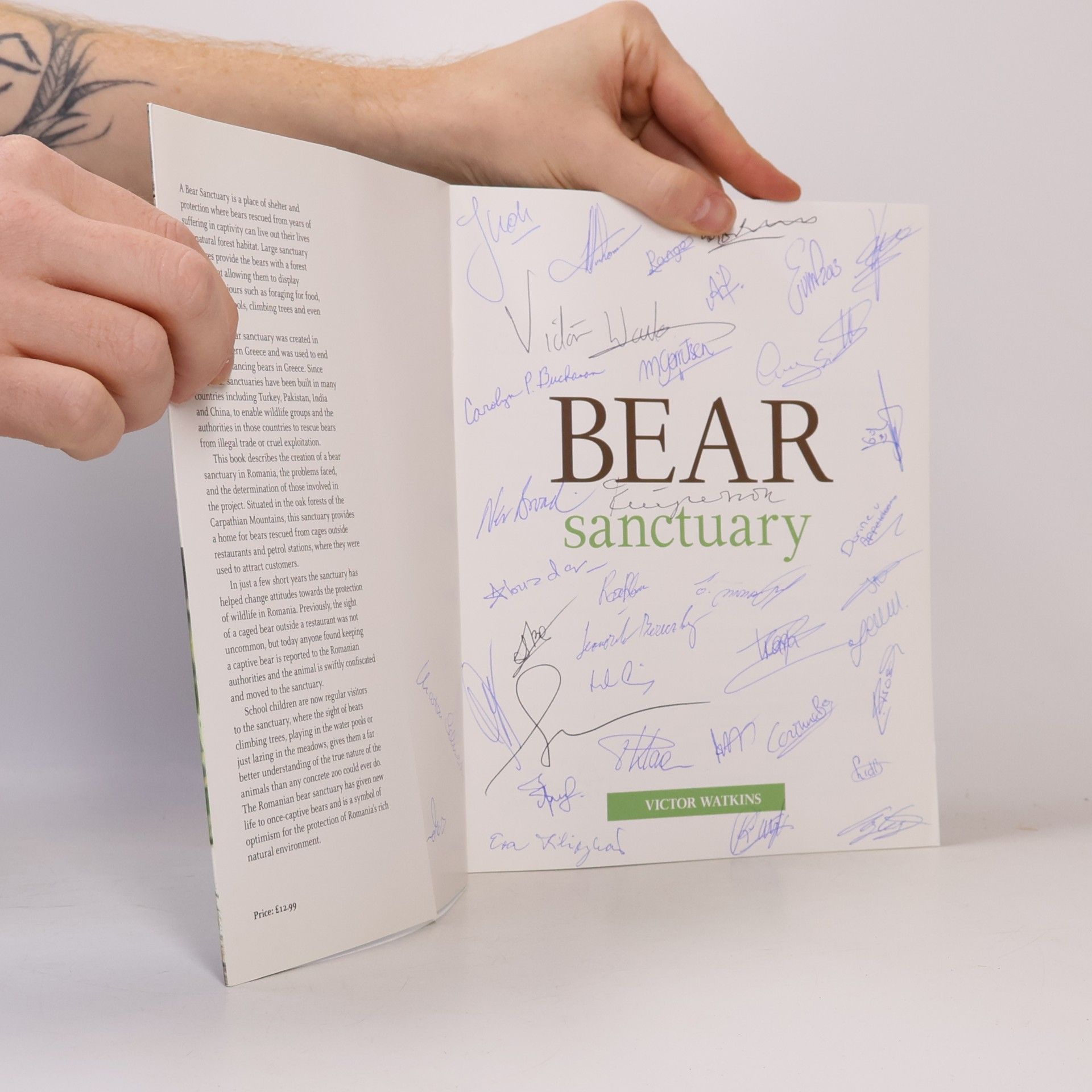 Victor Watkins Bear Sanctuary