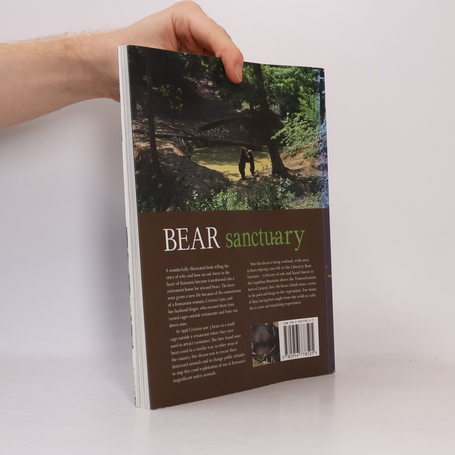 Victor Watkins Bear Sanctuary