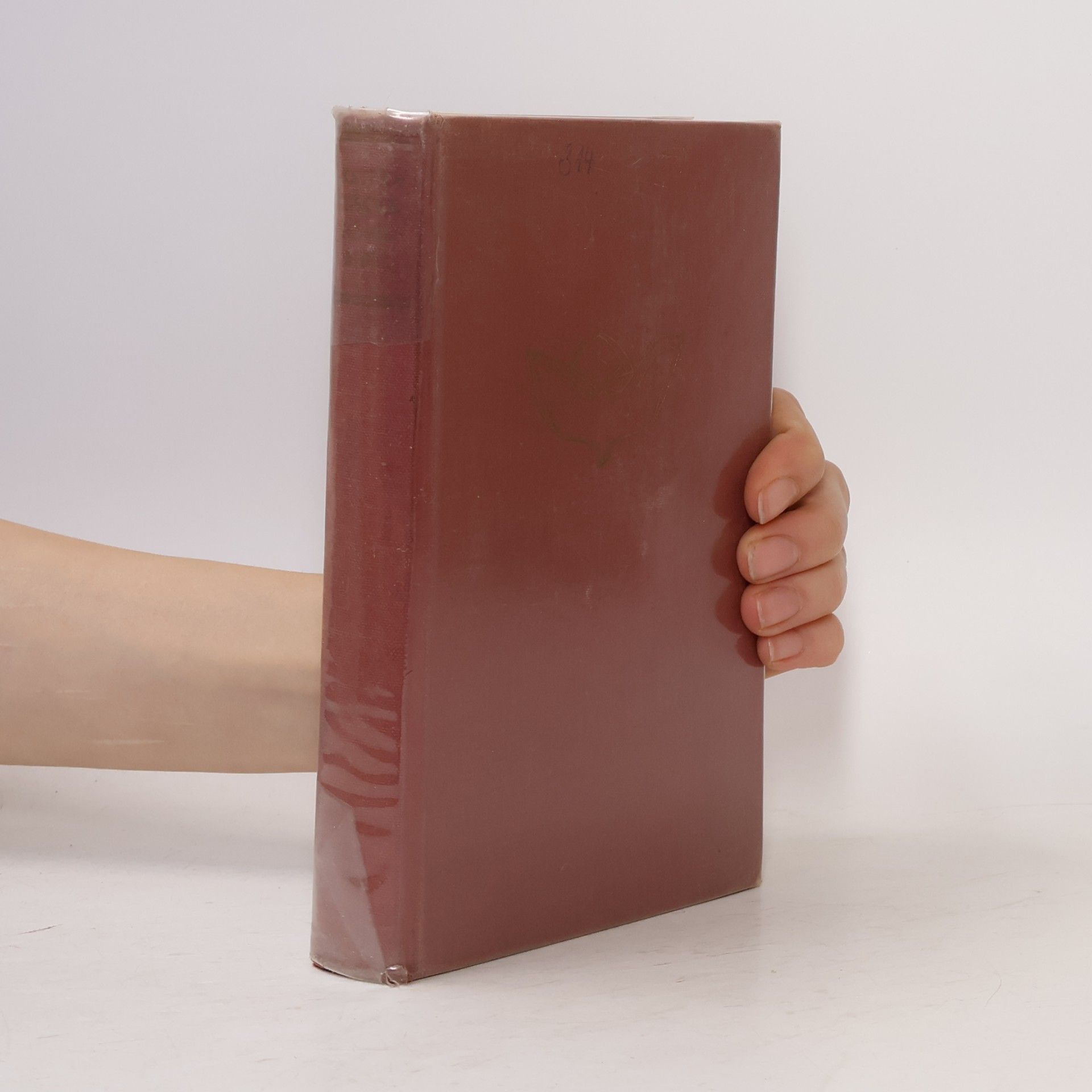 kolektiv Katholische Schulbibel