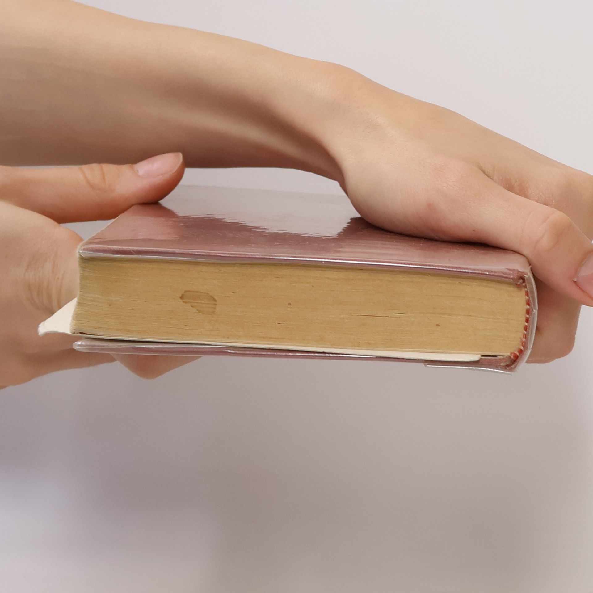 kolektiv Katholische Schulbibel