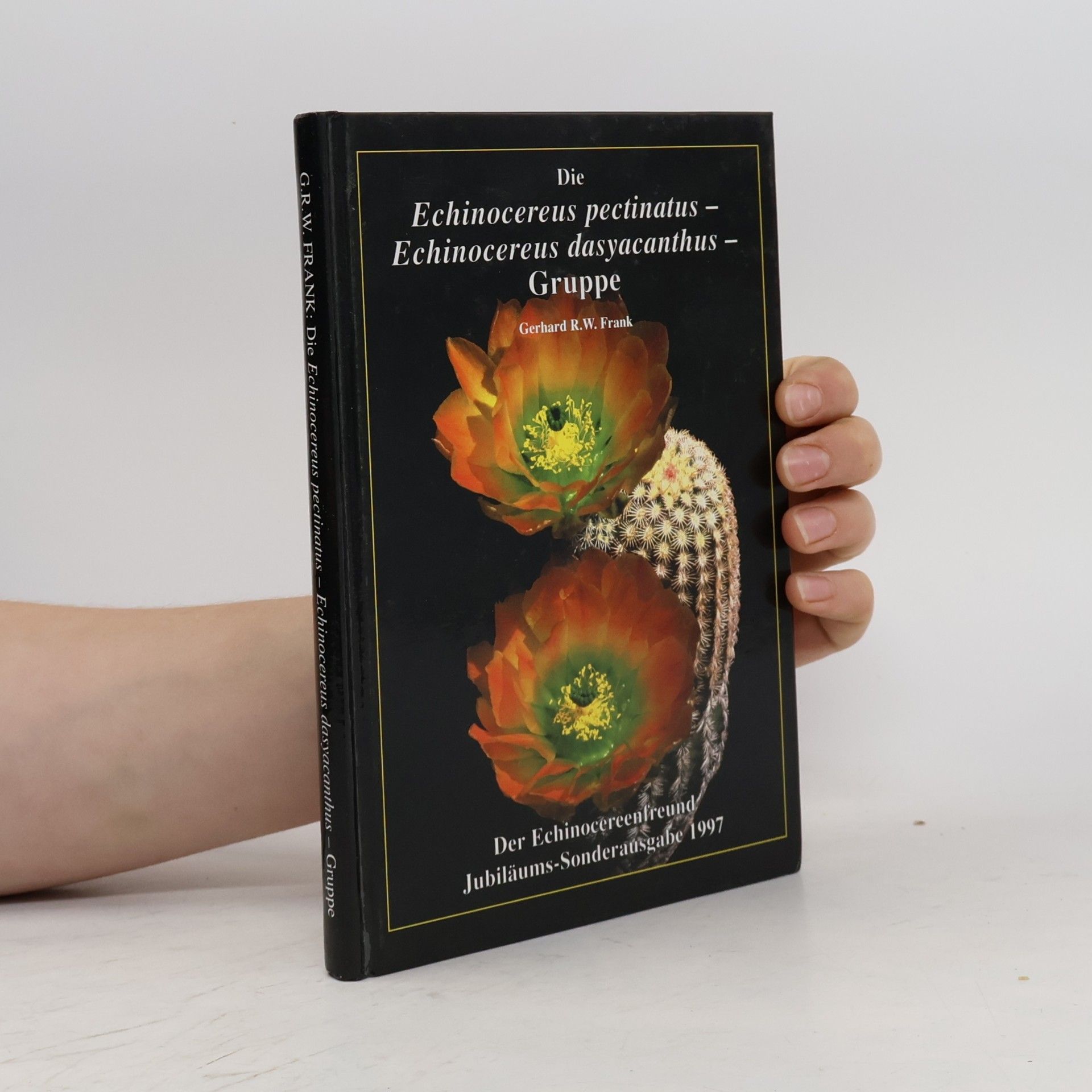 Die Echinocereus pectinatus - Echinocereus dasyacanthus - Gruppe