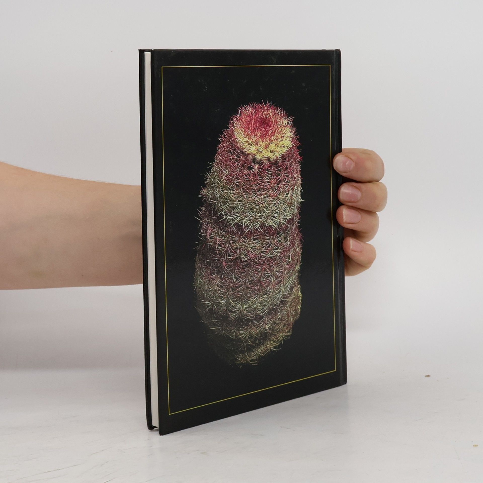 Gerhard R. W. Frank Die Echinocereus pectinatus - Echinocereus dasyacanthus - Gruppe