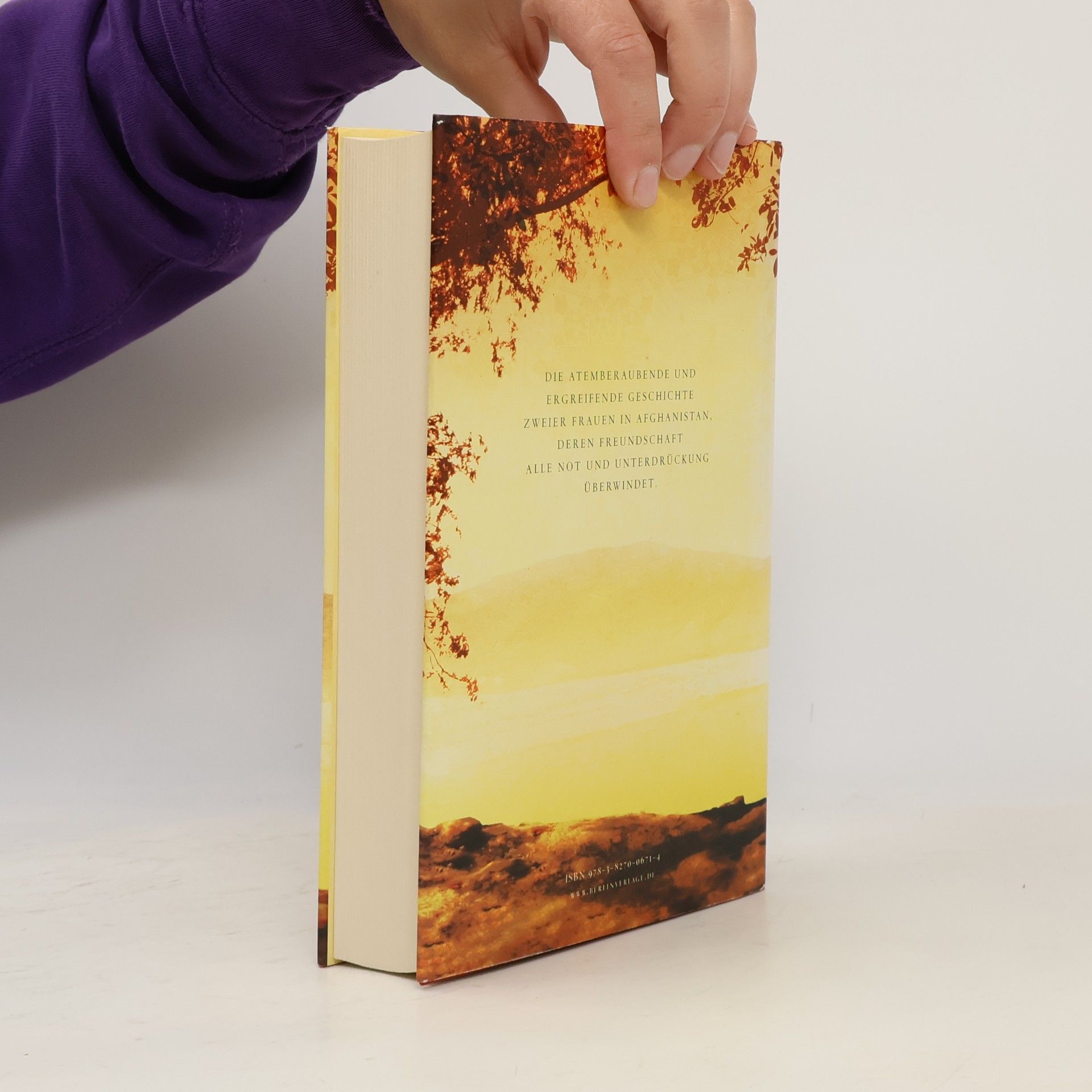 Khaled Hosseini Tausend strahlende Sonnen