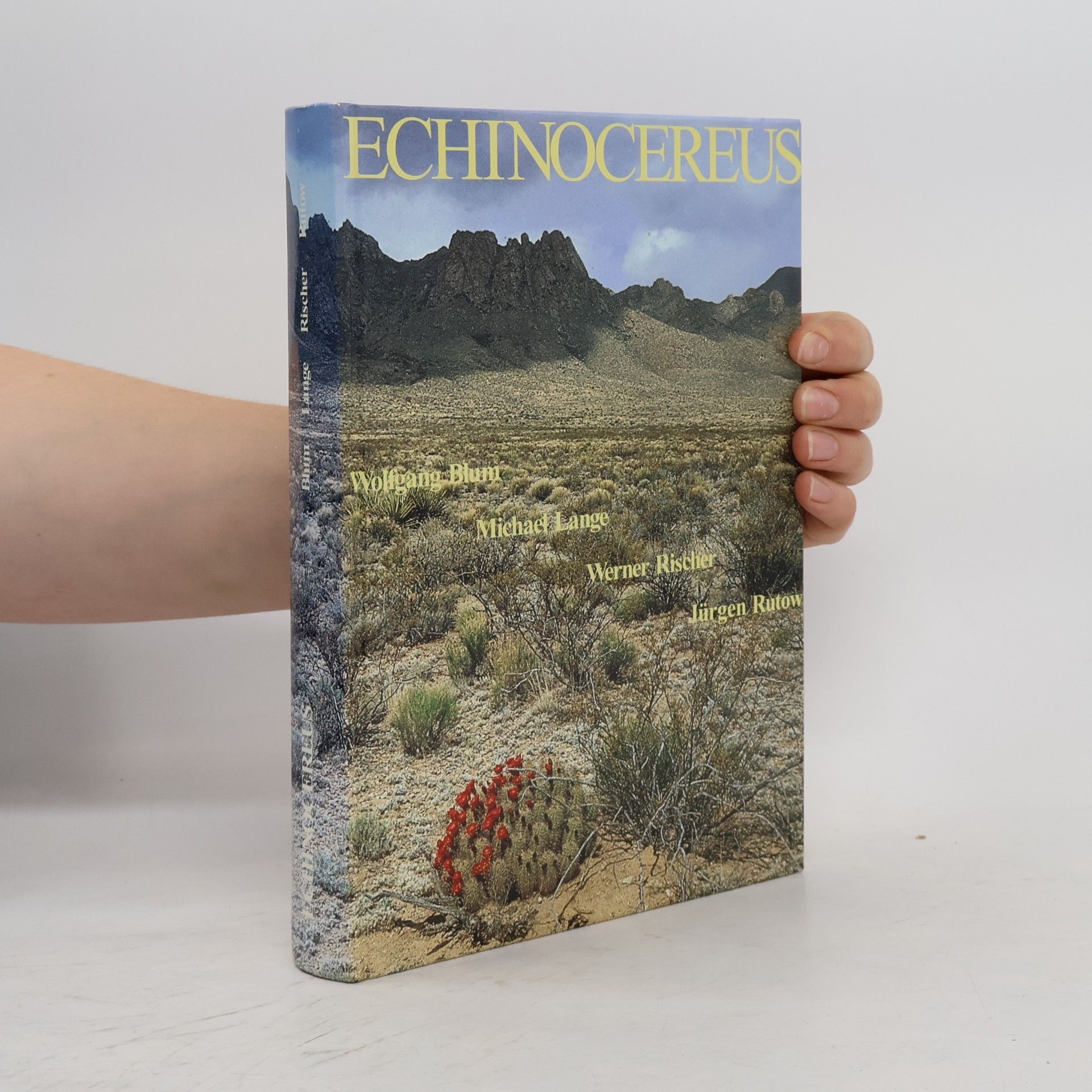 Michael Lange Echinocereus