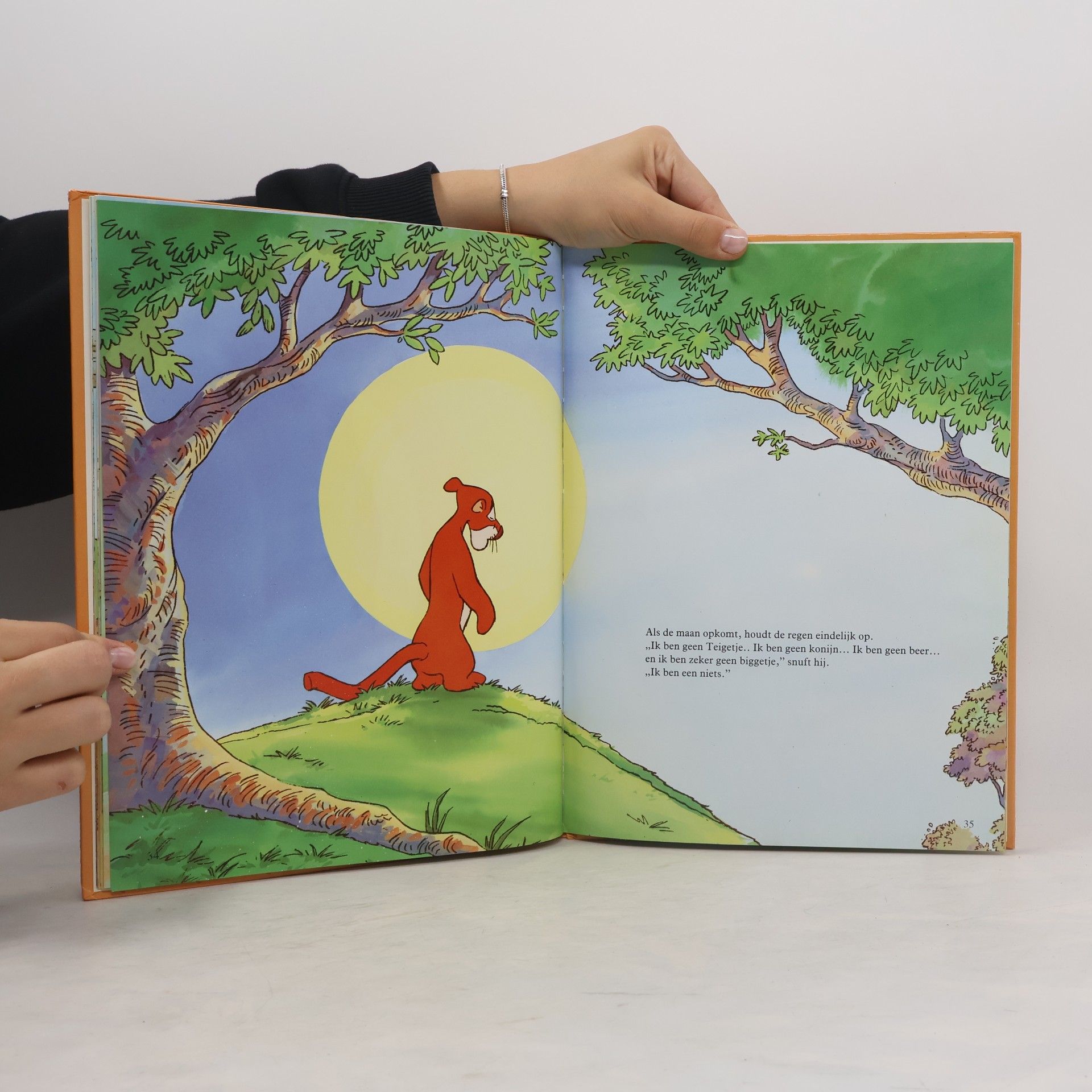 Walt Disney De Avonturen van Winnie de Poeh: Streepjes