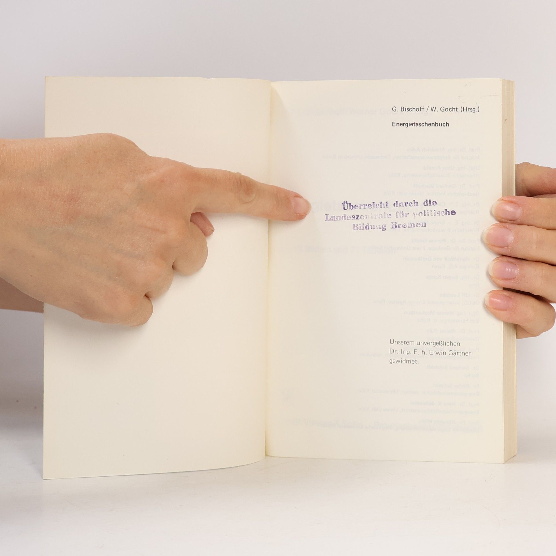Gerhard Bischoff Energietaschenbuch