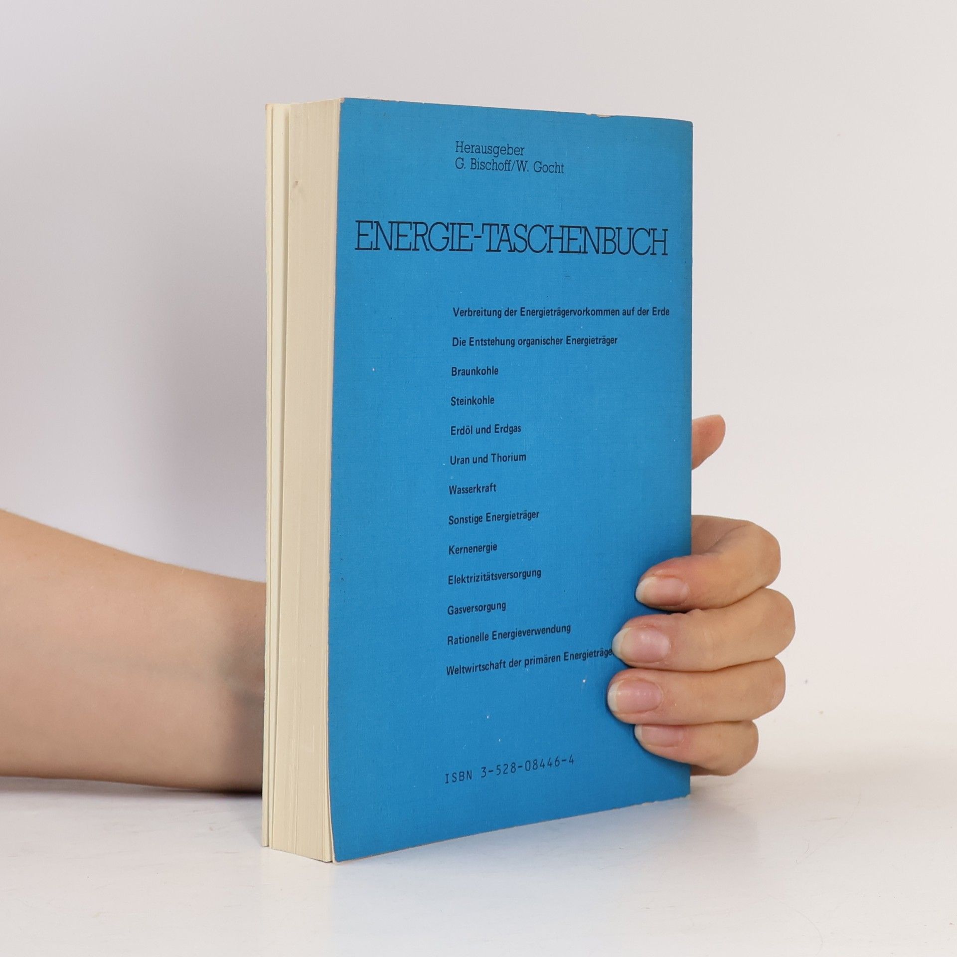 Gerhard Bischoff Energietaschenbuch