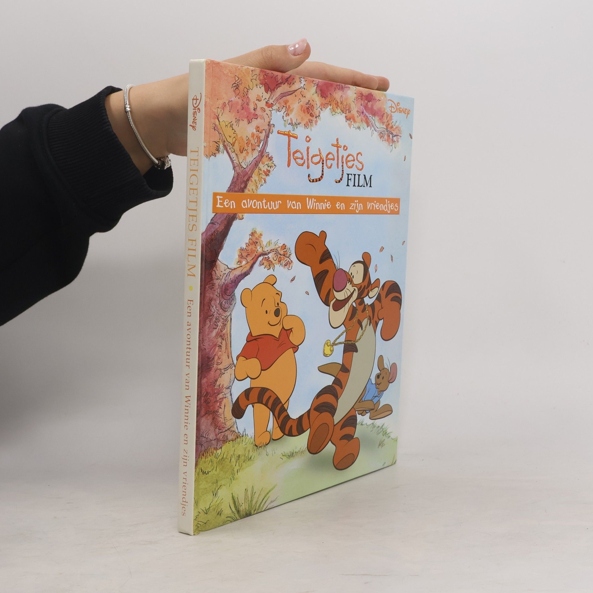 Disney Disney: Teigetjes film