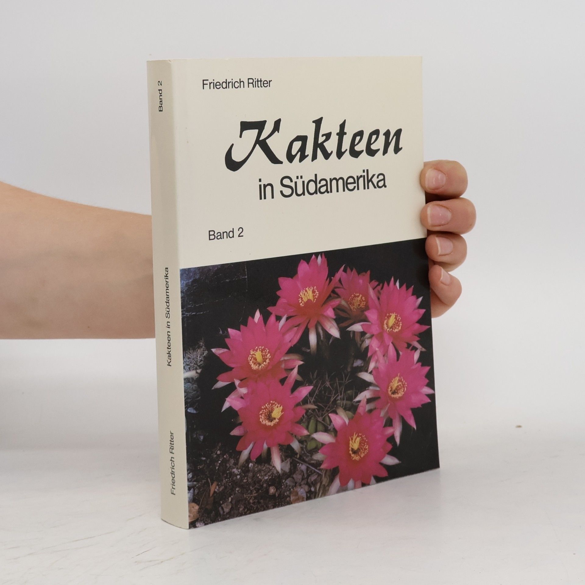 Kakteen in Südamerika 2