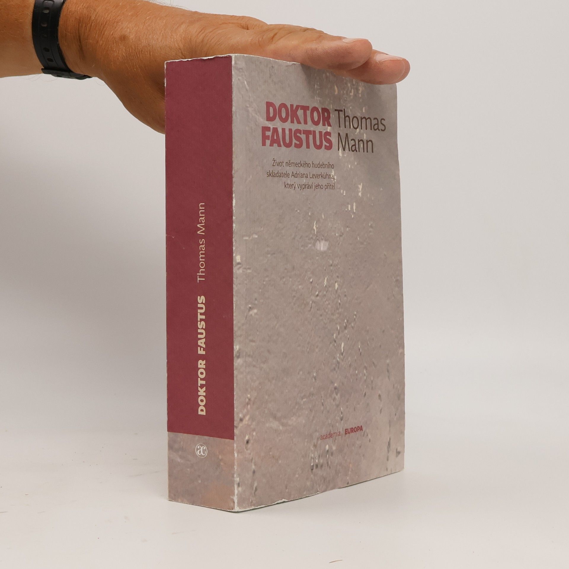 Thomas Mann Doktor Faustus