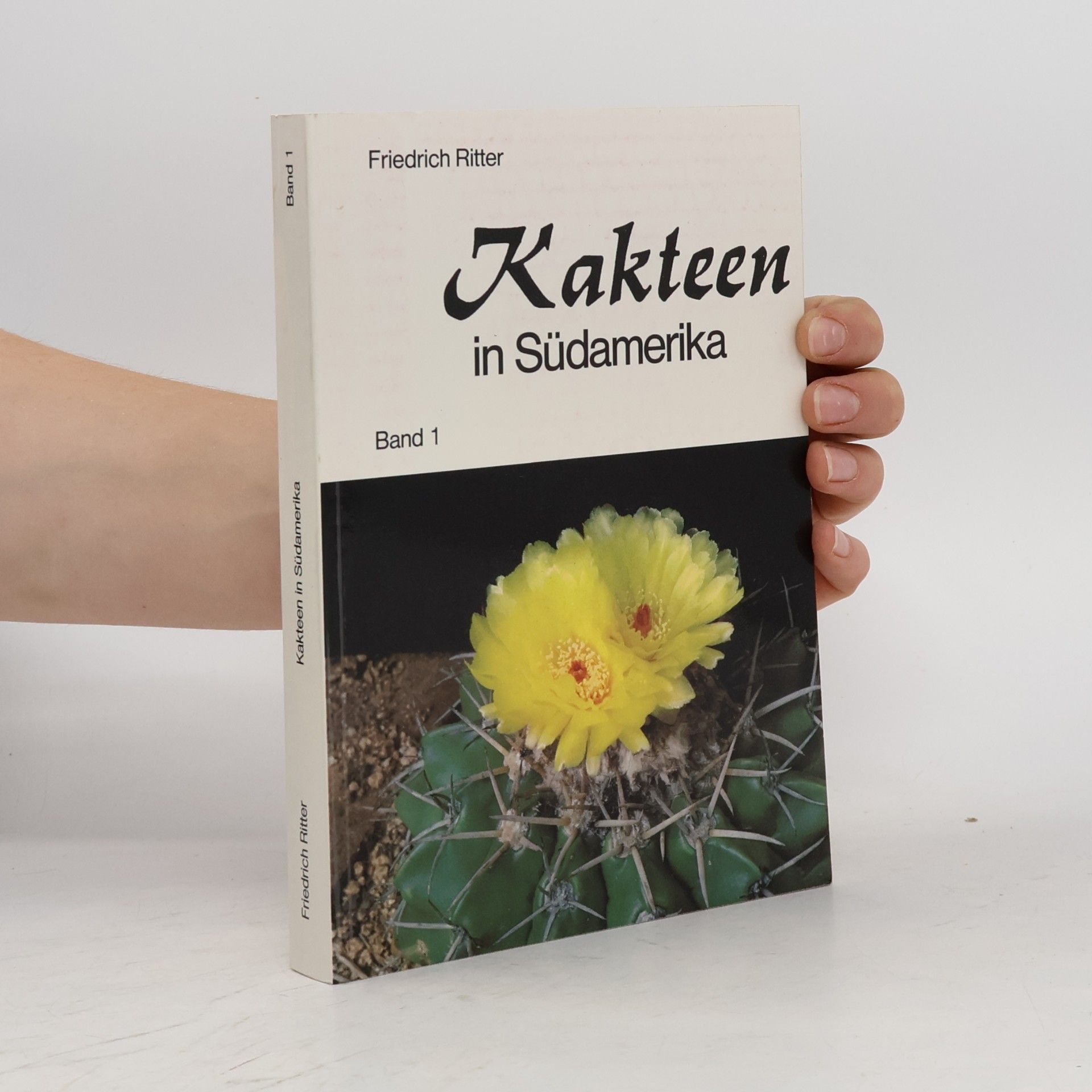 Kakteen in Südamerika 1