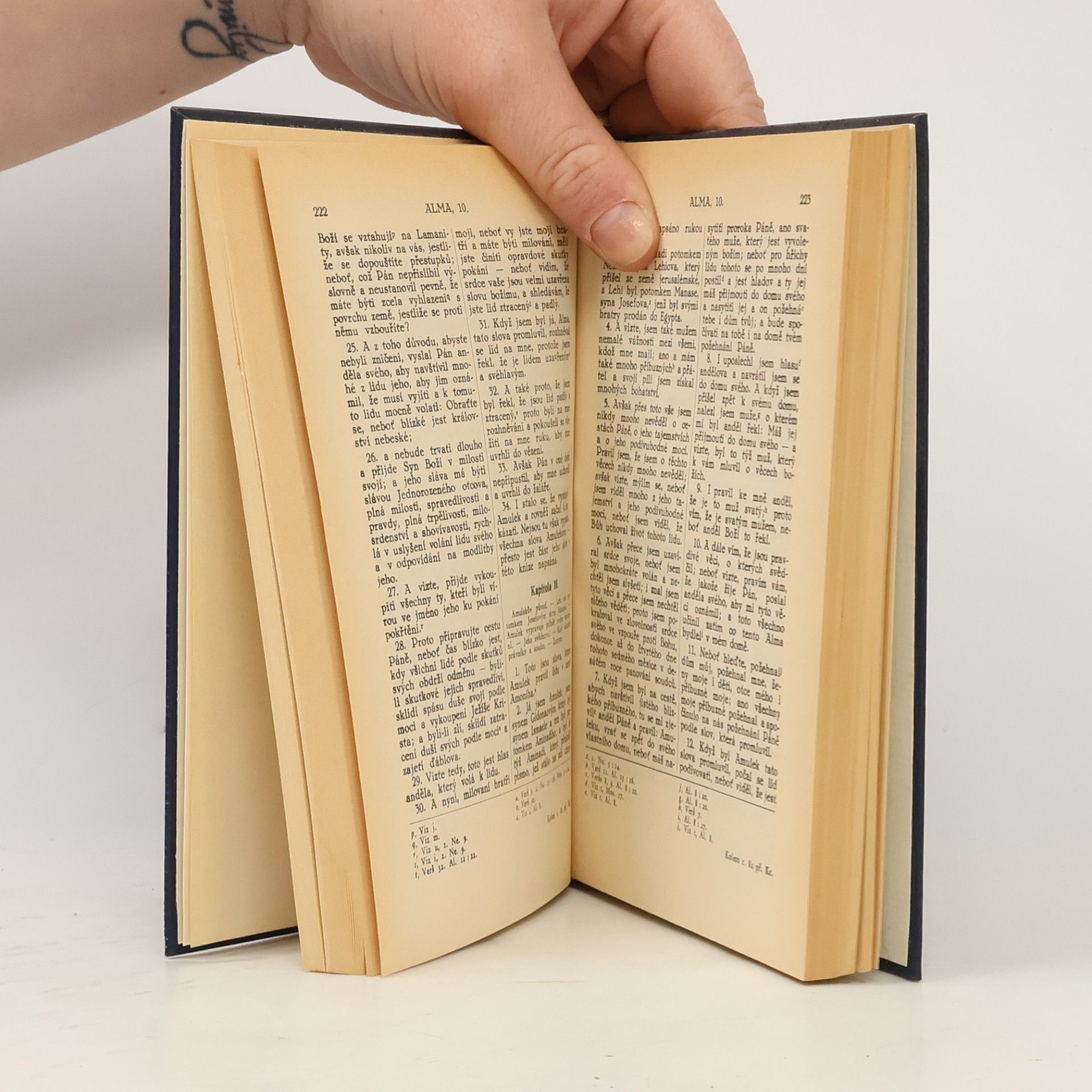 Kolektiv autorů Kniha Mormon