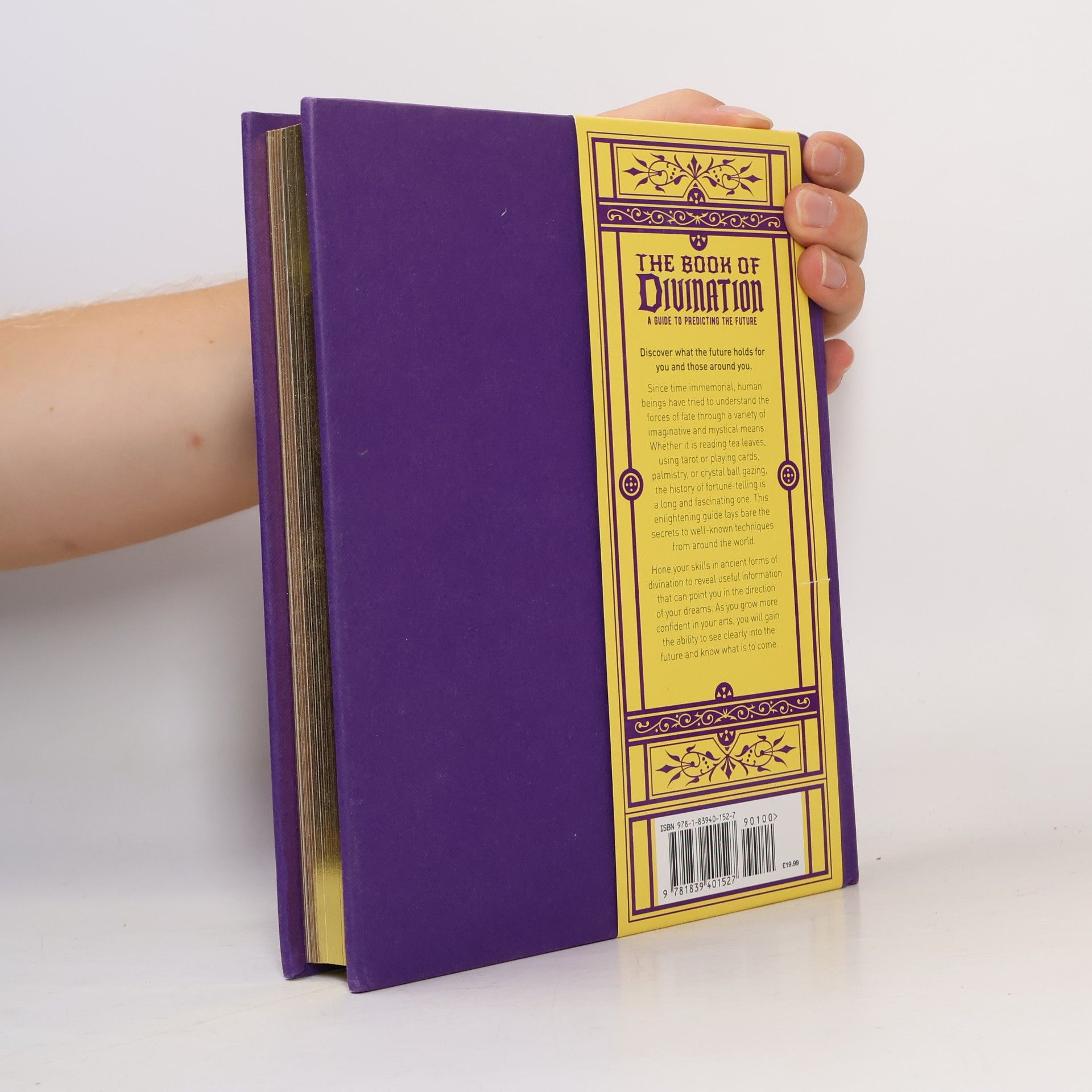 Michael Johnstone The Book of Divination. A Guide to Predict the Future