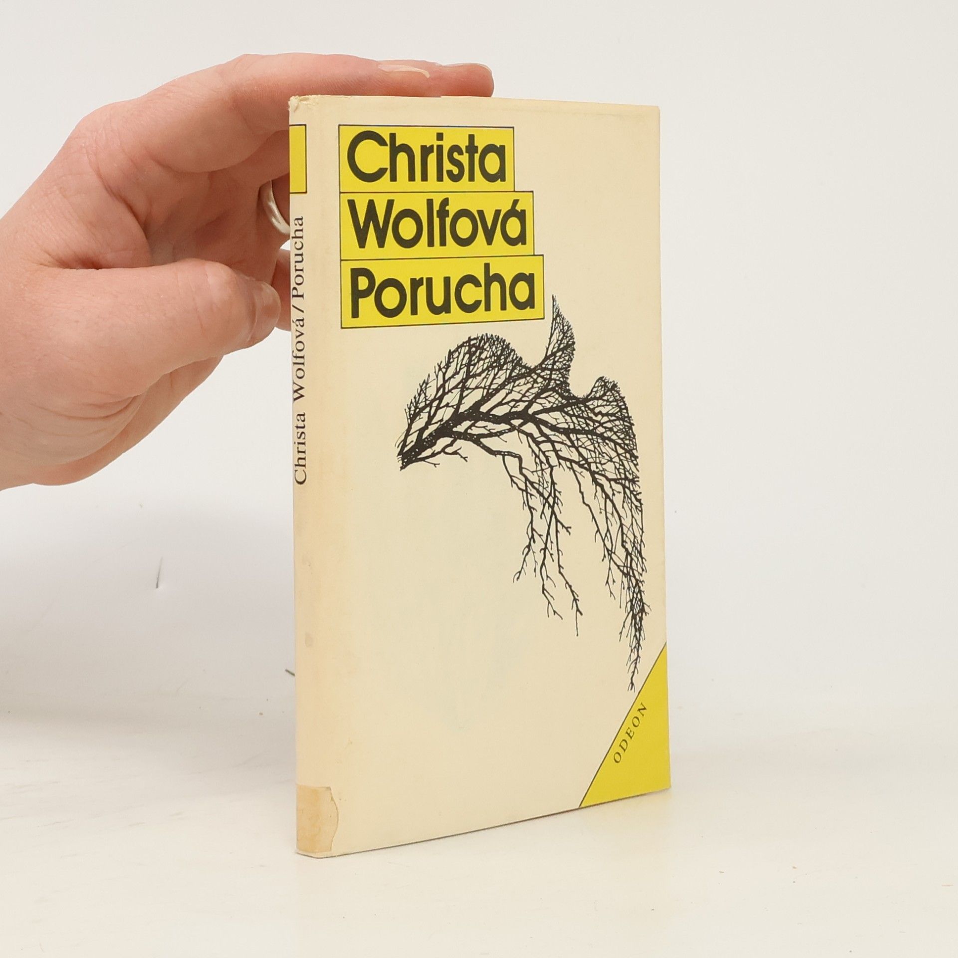 Christa Wolf Porucha - Zprávy jednoho dne