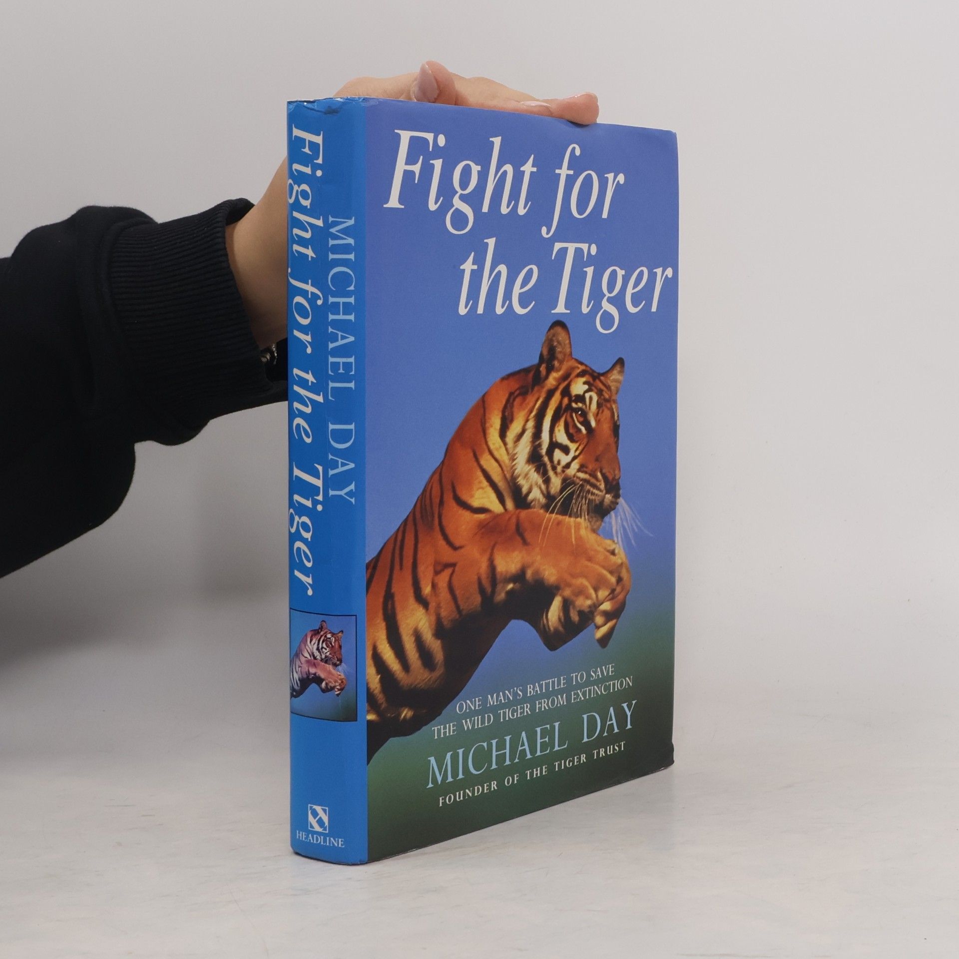 Michael Day Fight for the Tiger