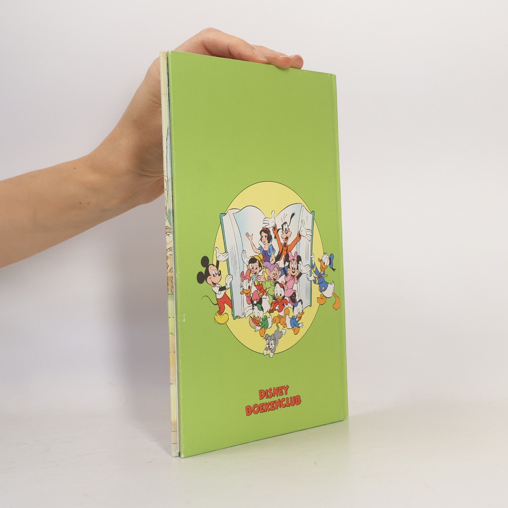 Tjibbe Veldkamp Disney Boekenclub: Winnie de Poeh en de waaidag