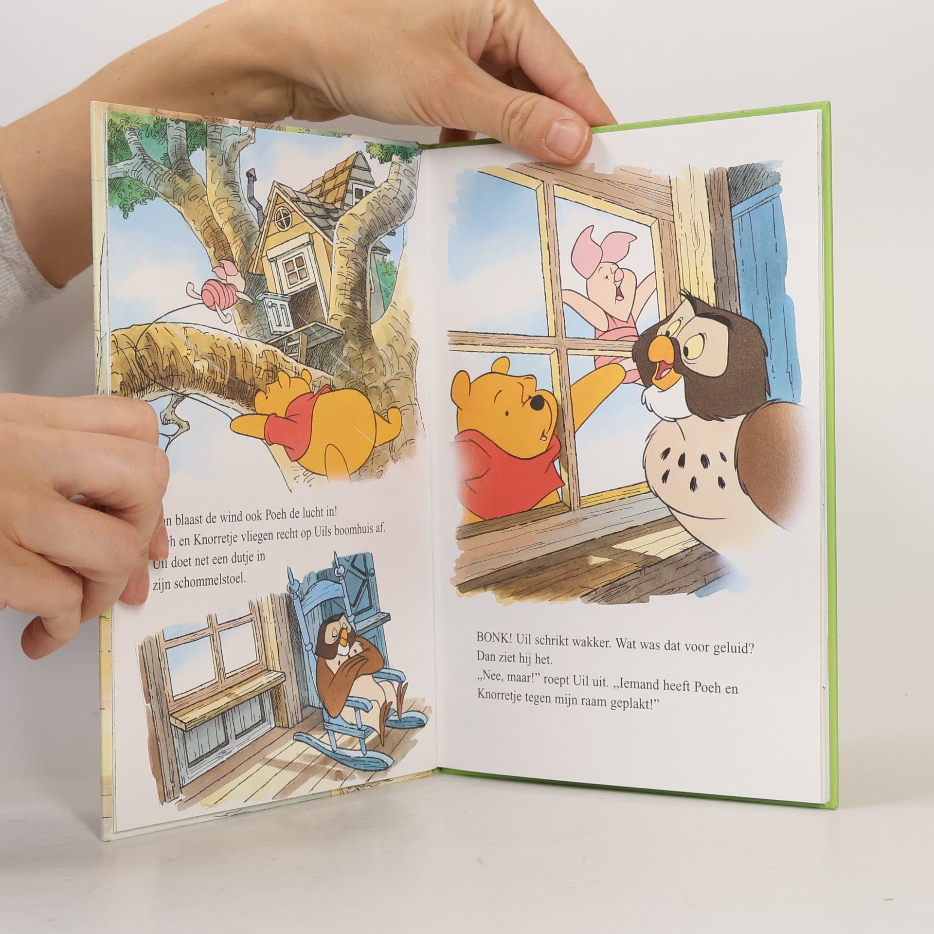 Tjibbe Veldkamp Disney Boekenclub: Winnie de Poeh en de waaidag