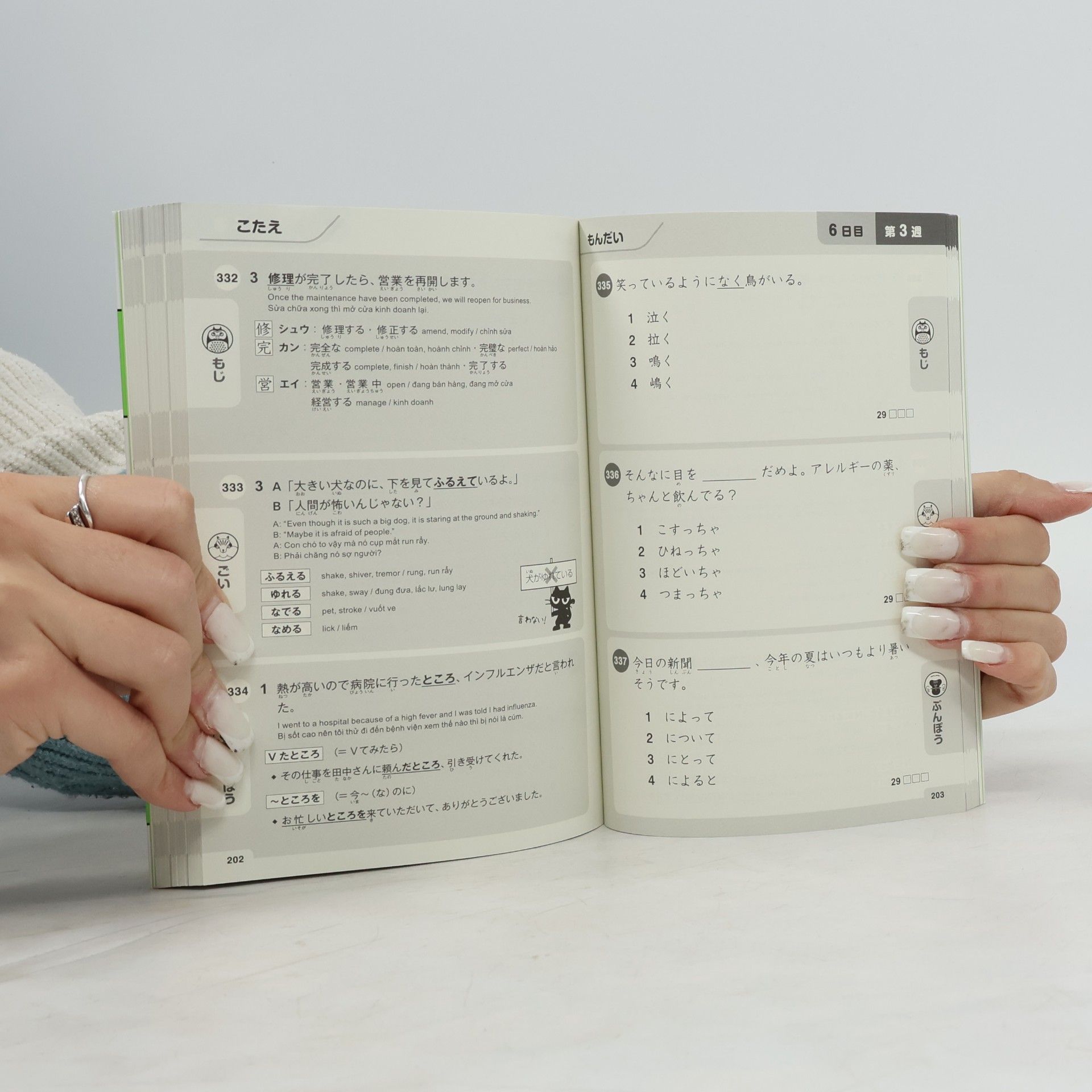 Noriko Matsumoto 4週間日本語能力試験N3 合格力養成!