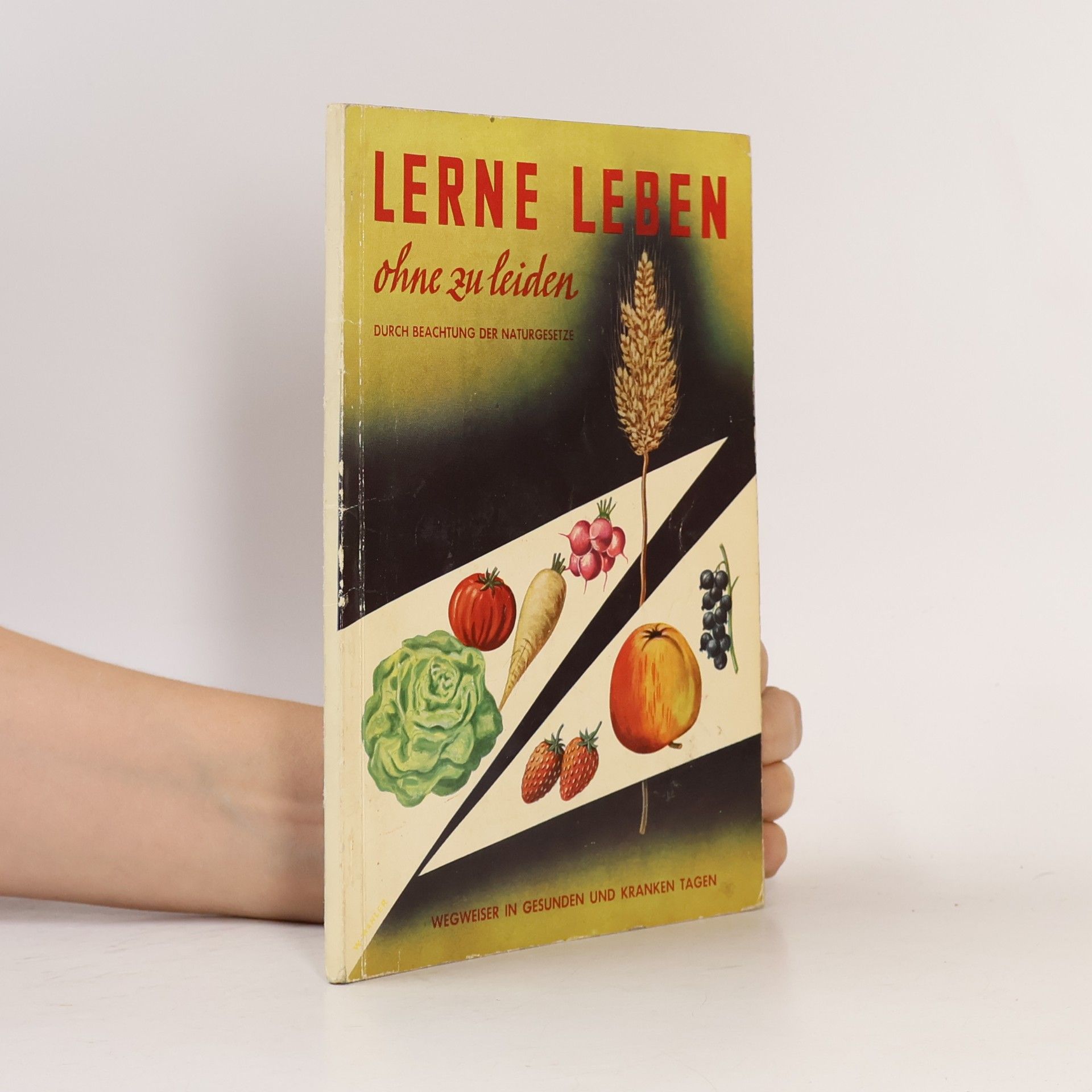 kolektiv Lerne Leben ohne zu leiden