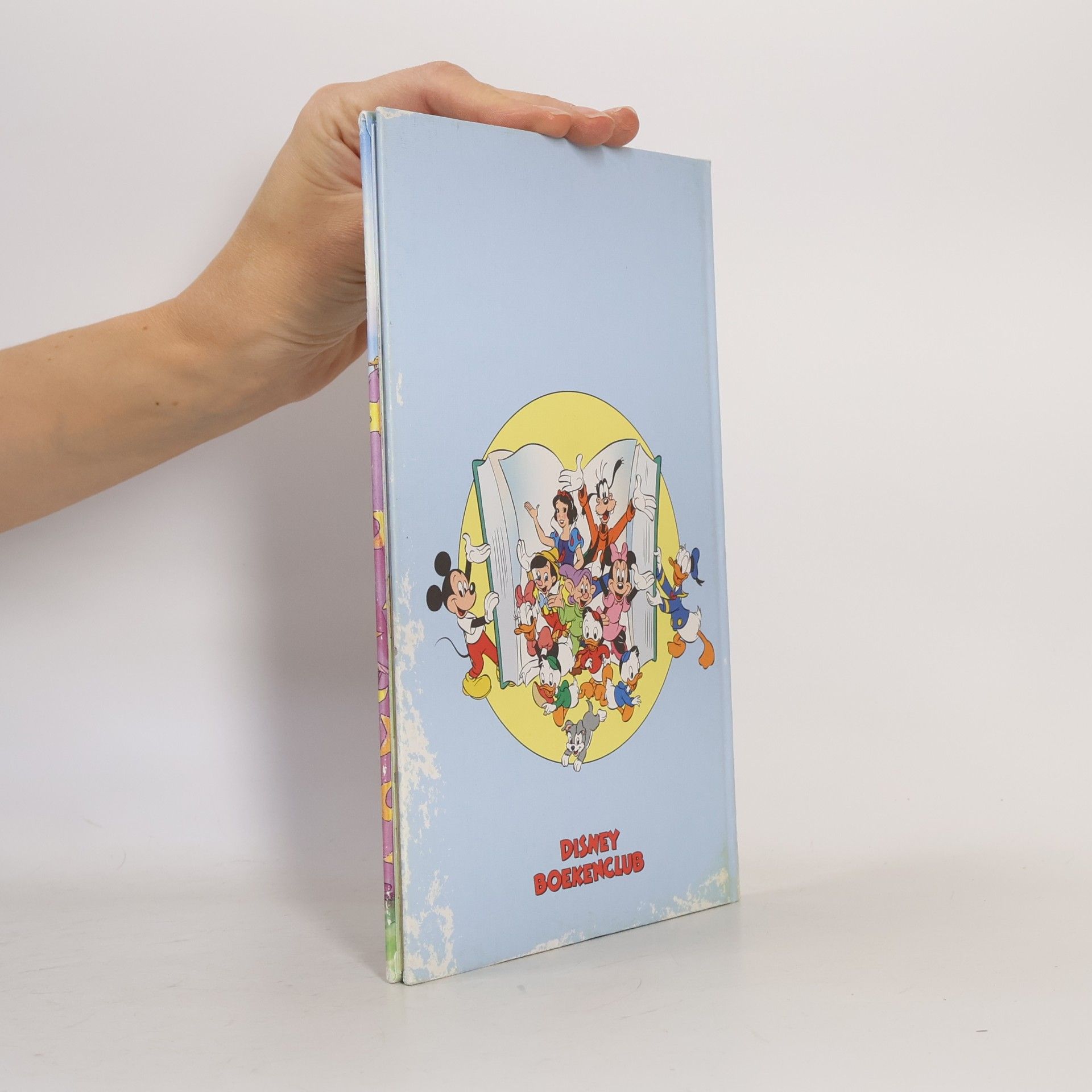 Walt Disney Company Disney Boekenclub: De Bunderbos Talentenshow