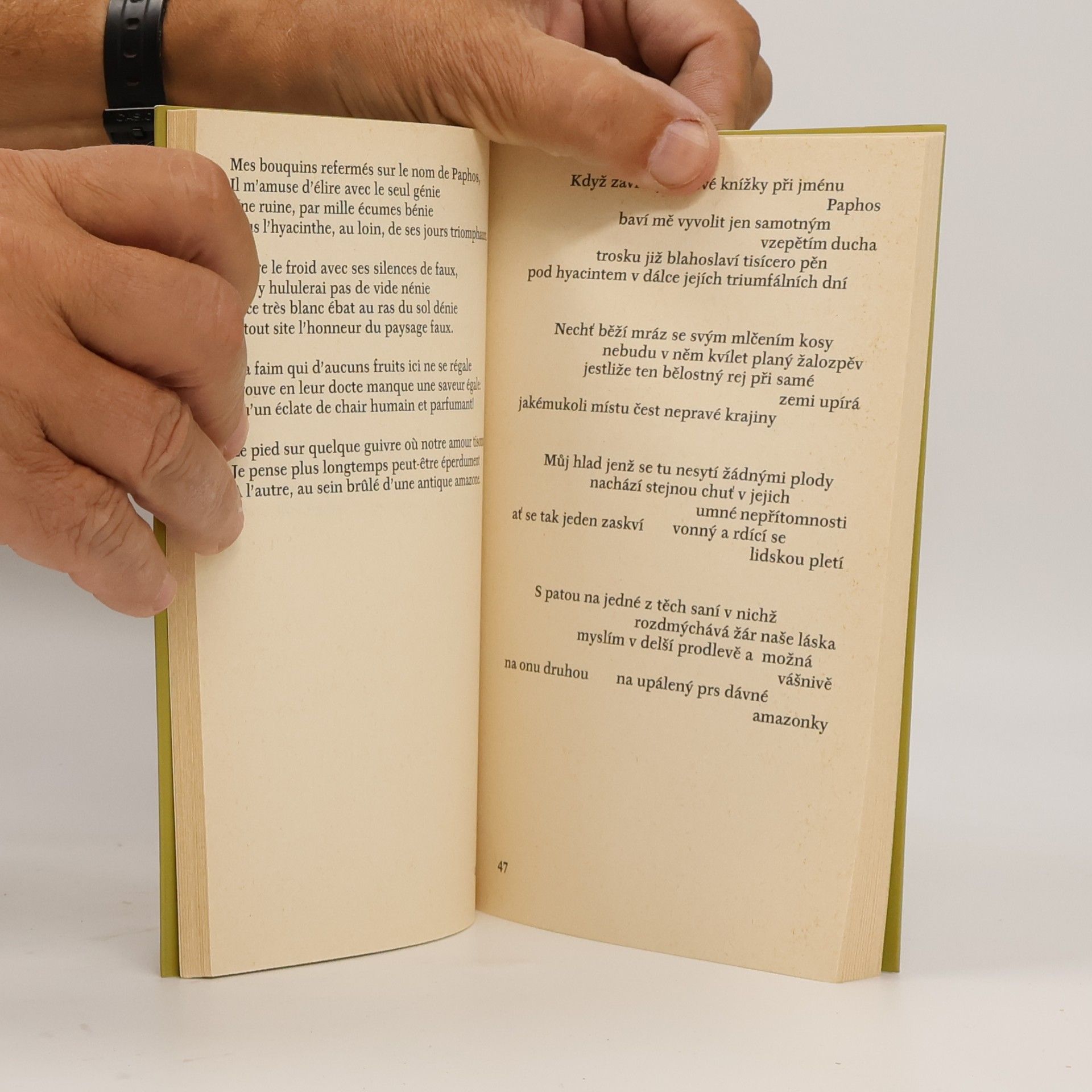 Stéphane Mallarmé Faunovo odpoledne a jiné básně