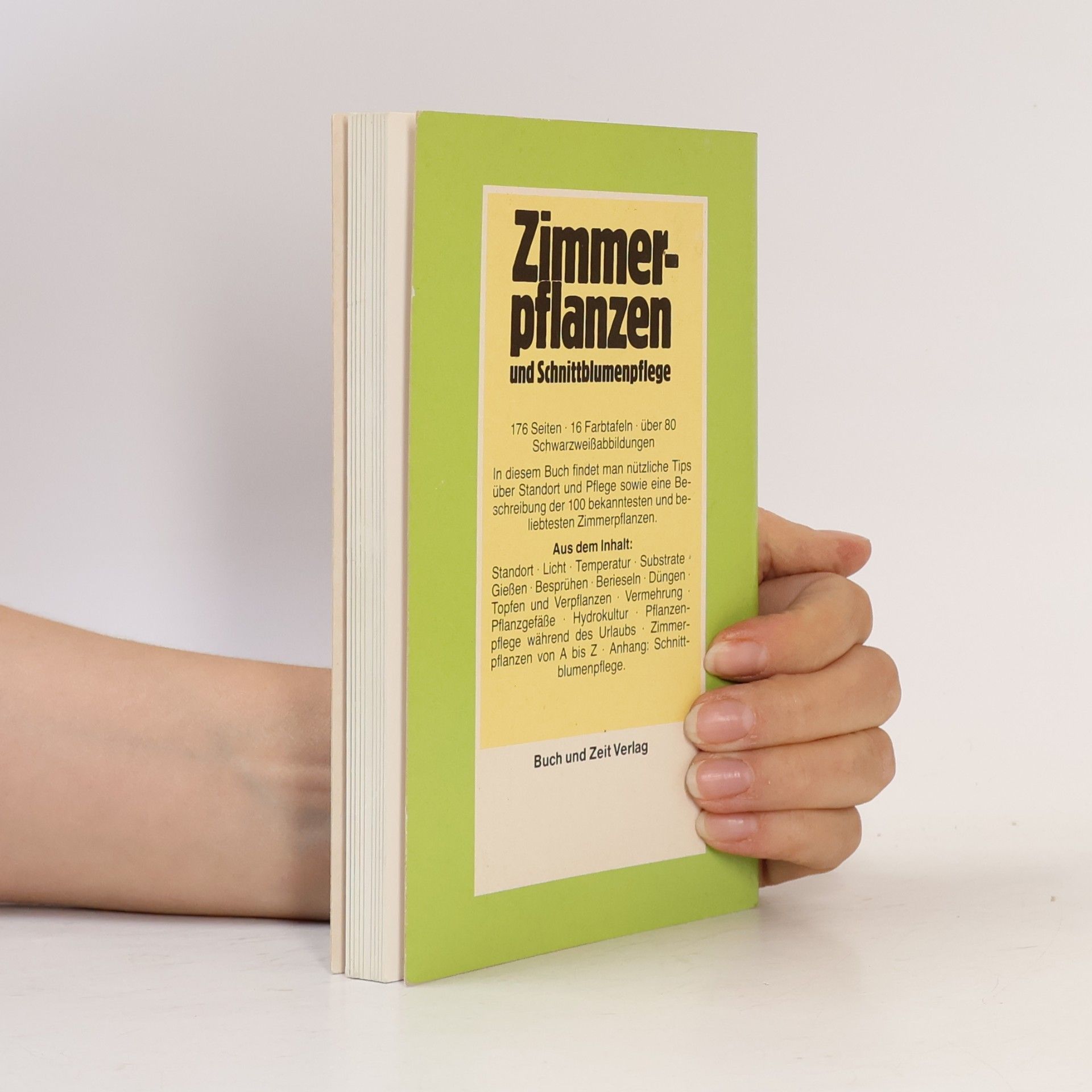 Autorenkollektiv Zimmerpflanzen und Schnittblumenpflege