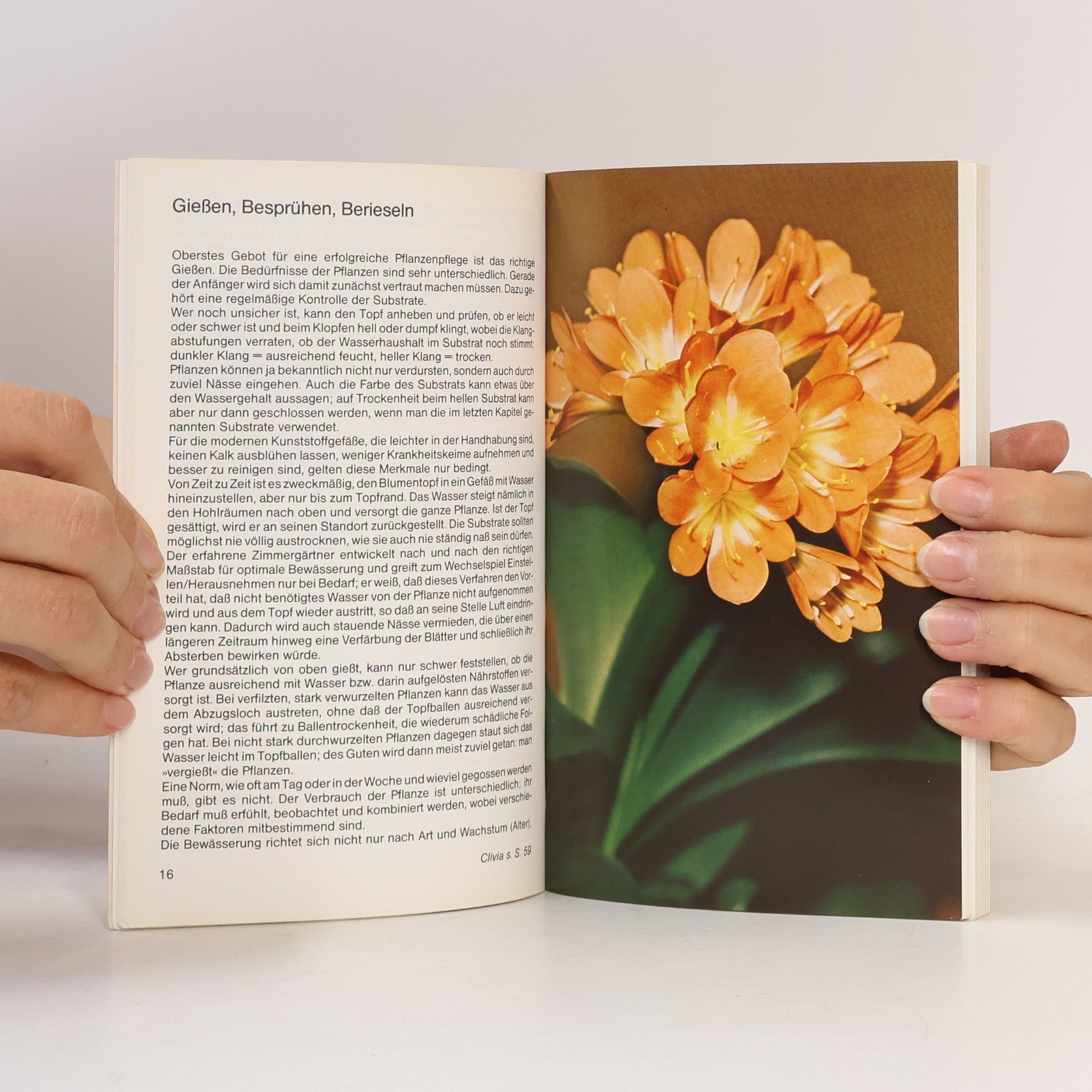 Autorenkollektiv Zimmerpflanzen und Schnittblumenpflege