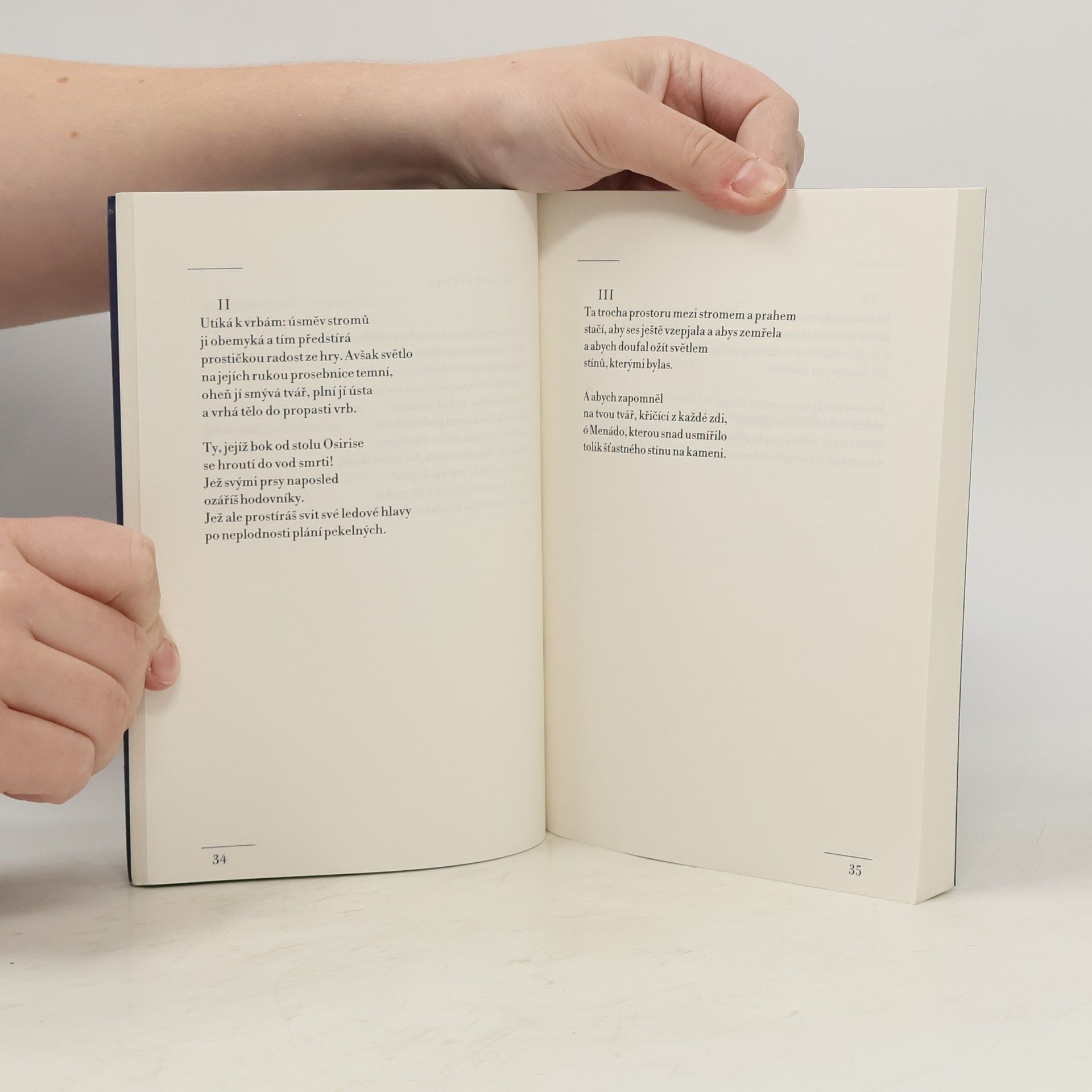 Yves Bonnefoy O pohybu a nehybnosti Jámy / Psaný kámen