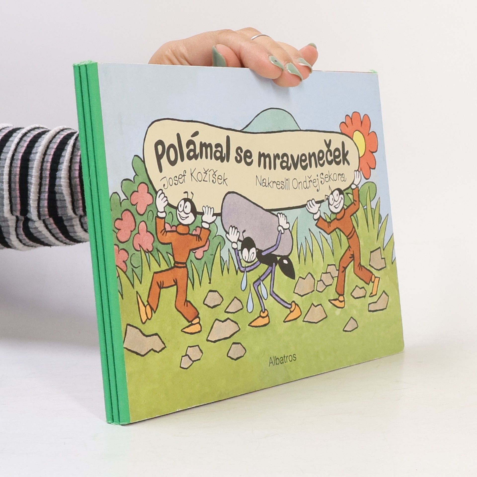 Polámal se mraveneček