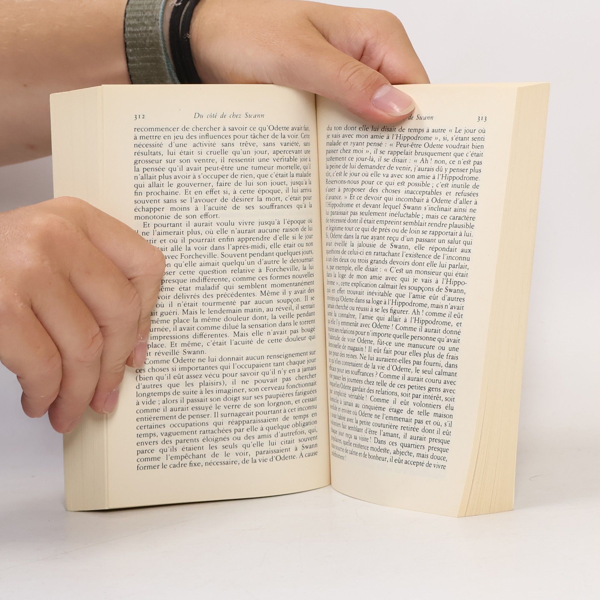 Marcel Proust Du côté de chez Swann